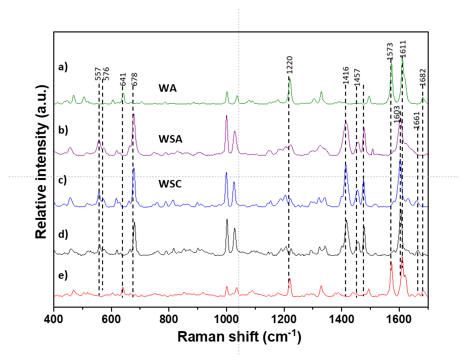 Pharmaceutics 13 01364 g004 Pharmaceutics 13 01364 g004
