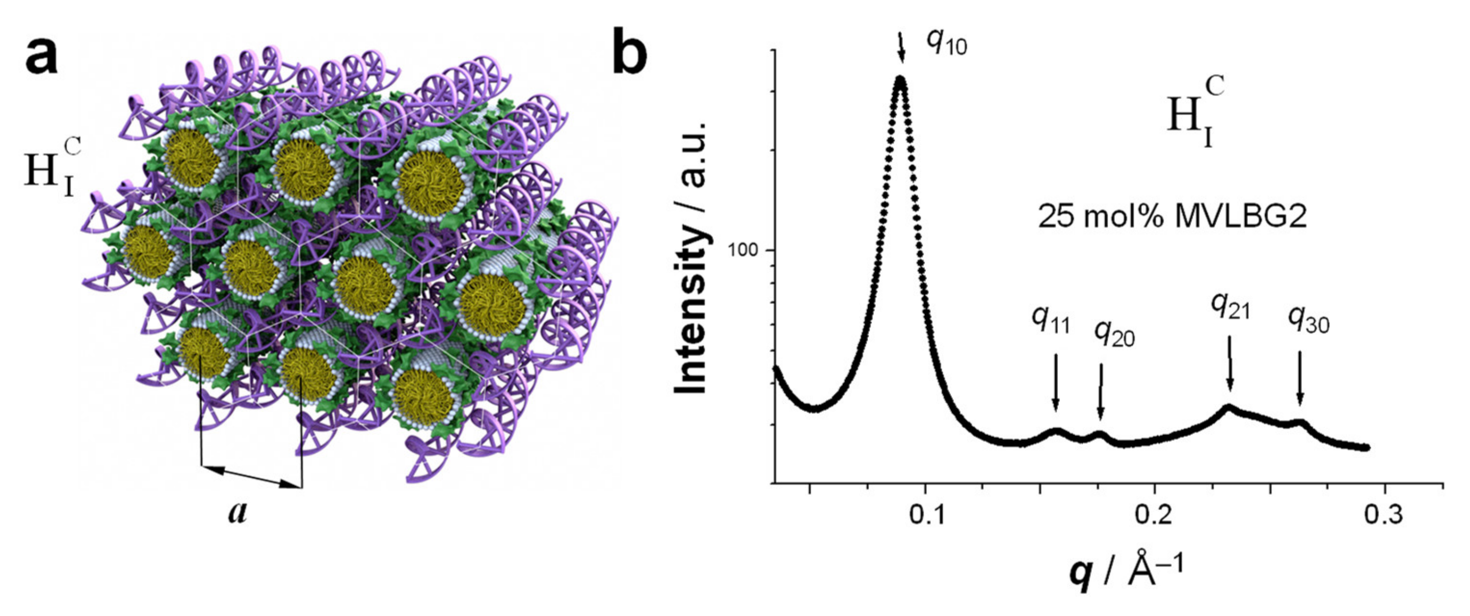 Pharmaceutics 13 01365 g009 Pharmaceutics 13 01365 g009