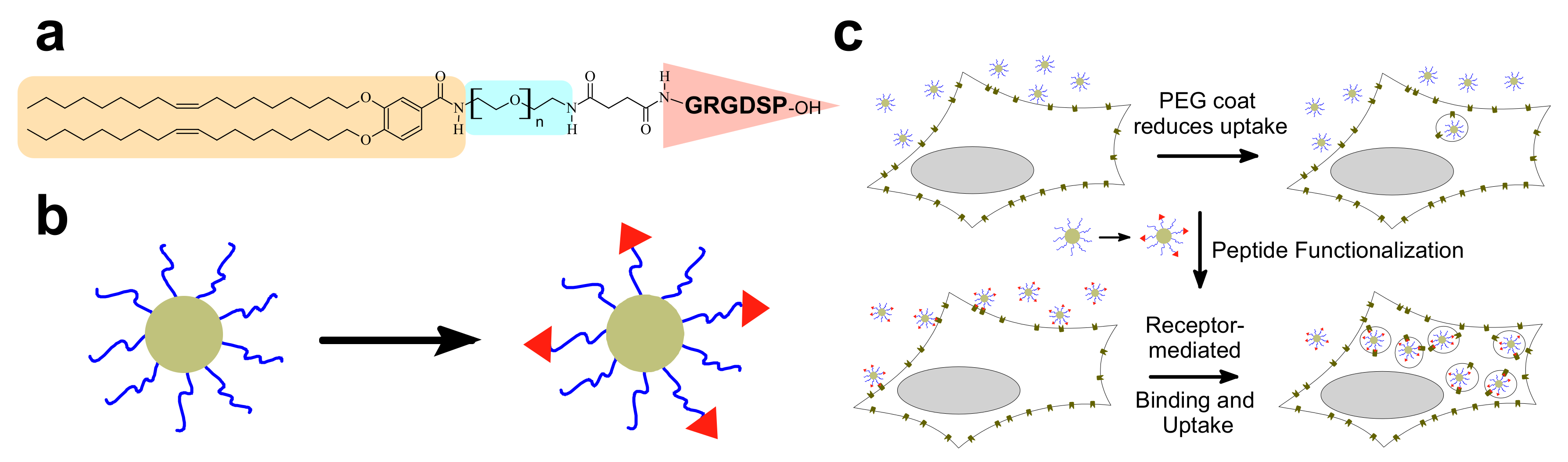 Pharmaceutics 13 01365 g015 Pharmaceutics 13 01365 g015