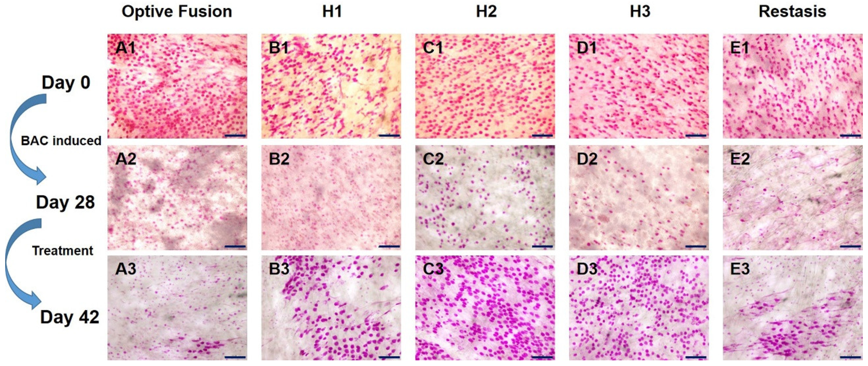 Pharmaceutics 13 01366 g004