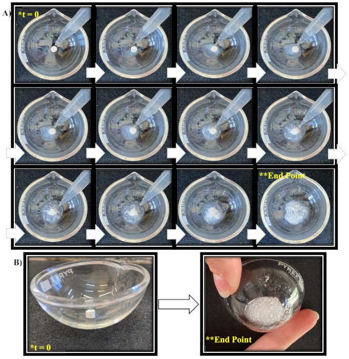 Pharmaceutics 13 01370 g010 550