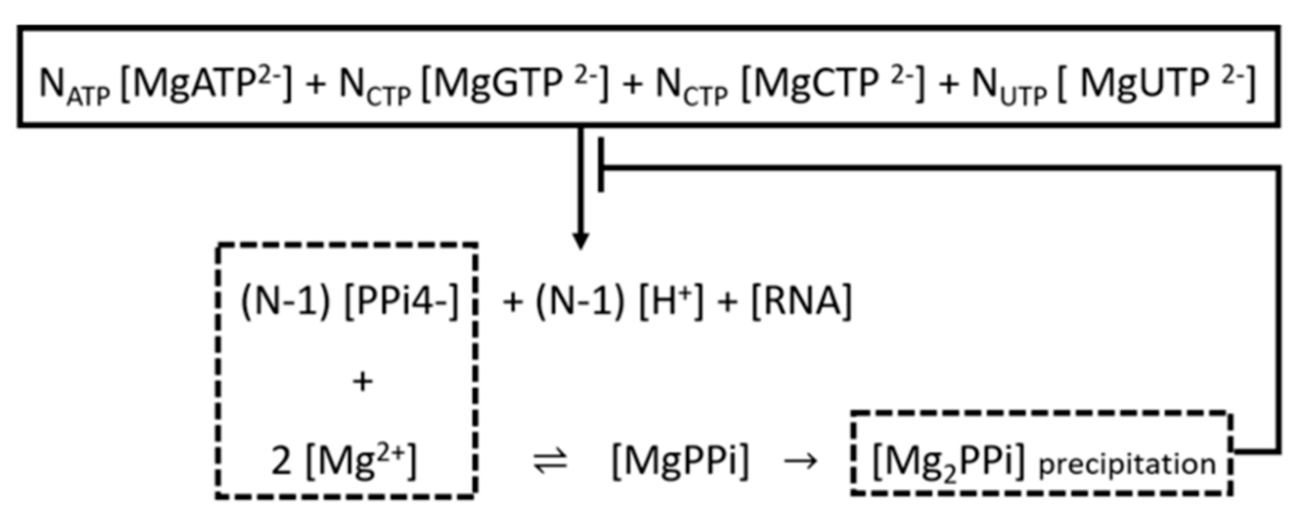 Pharmaceutics 13 01371 g005