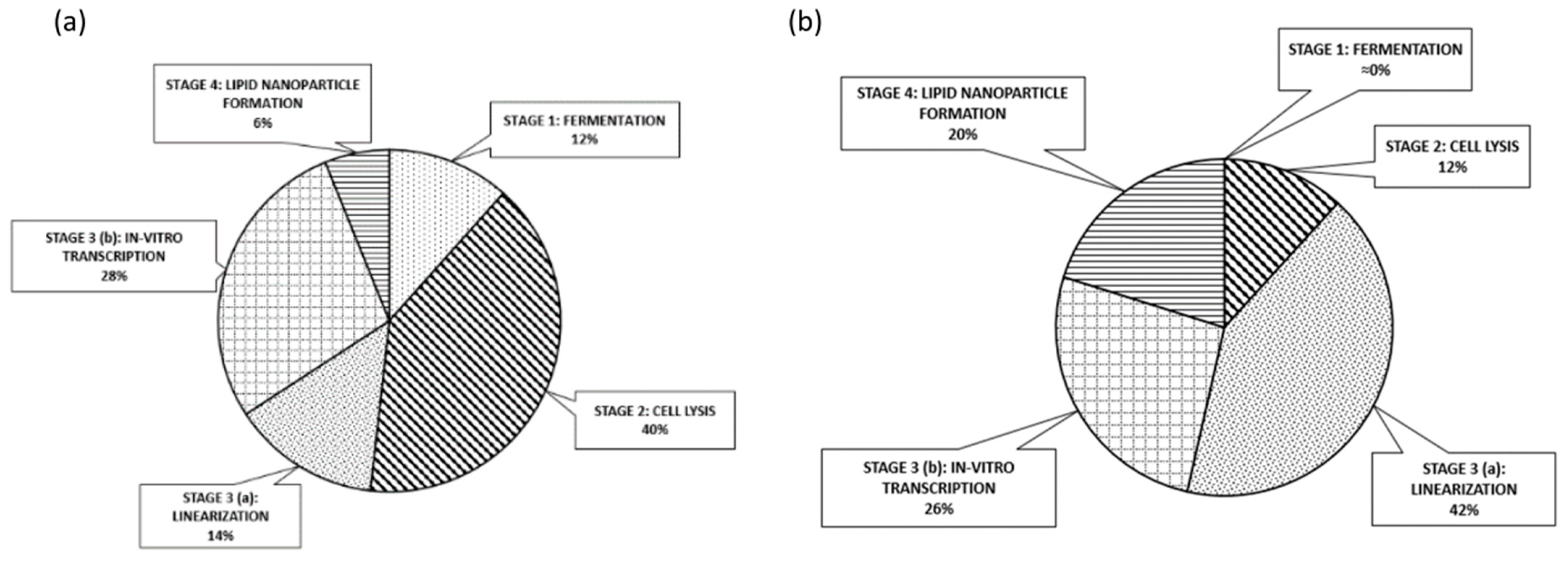 Pharmaceutics 13 01371 g010