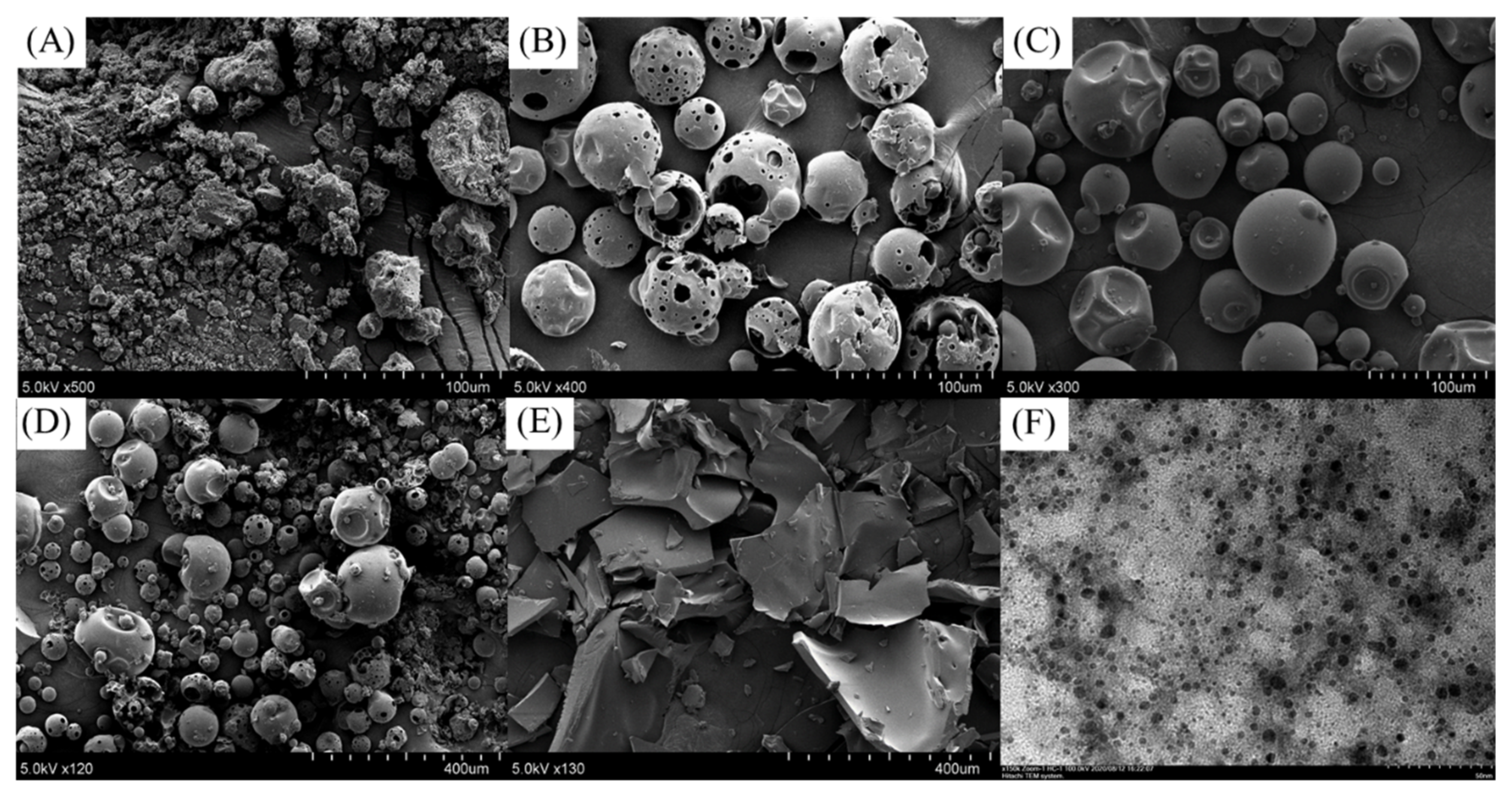 Pharmaceutics 13 01372 g002 550