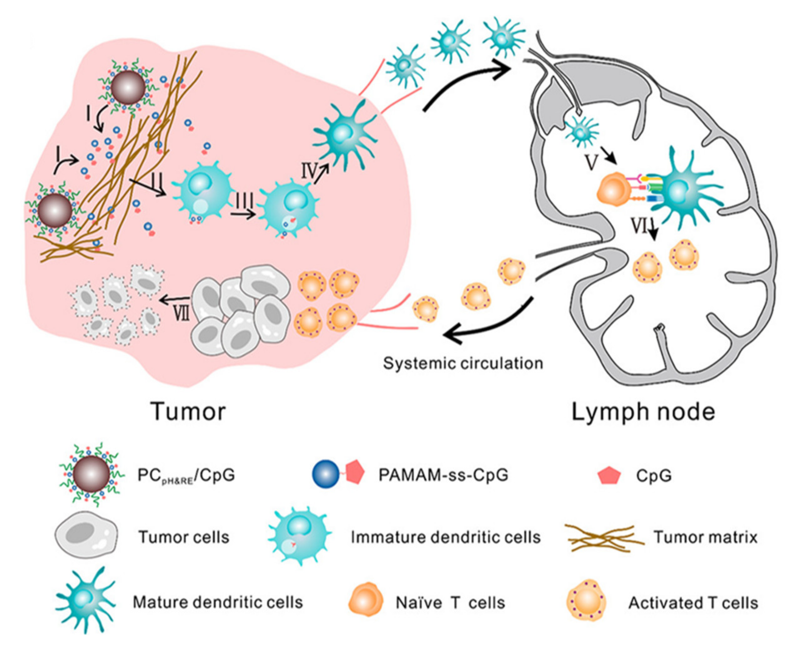 Pharmaceutics 13 01374 g002