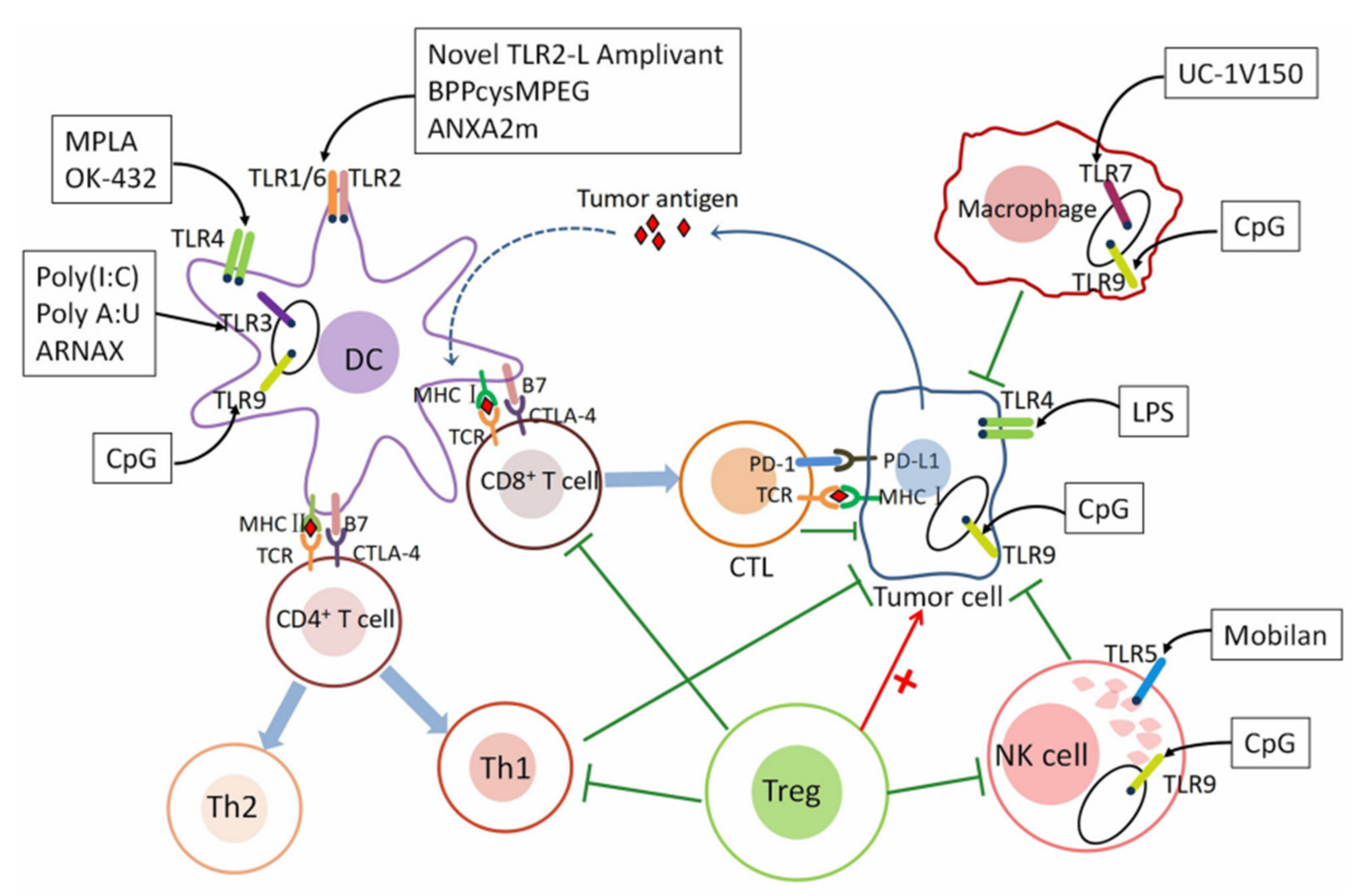 Pharmaceutics 13 01374 g003