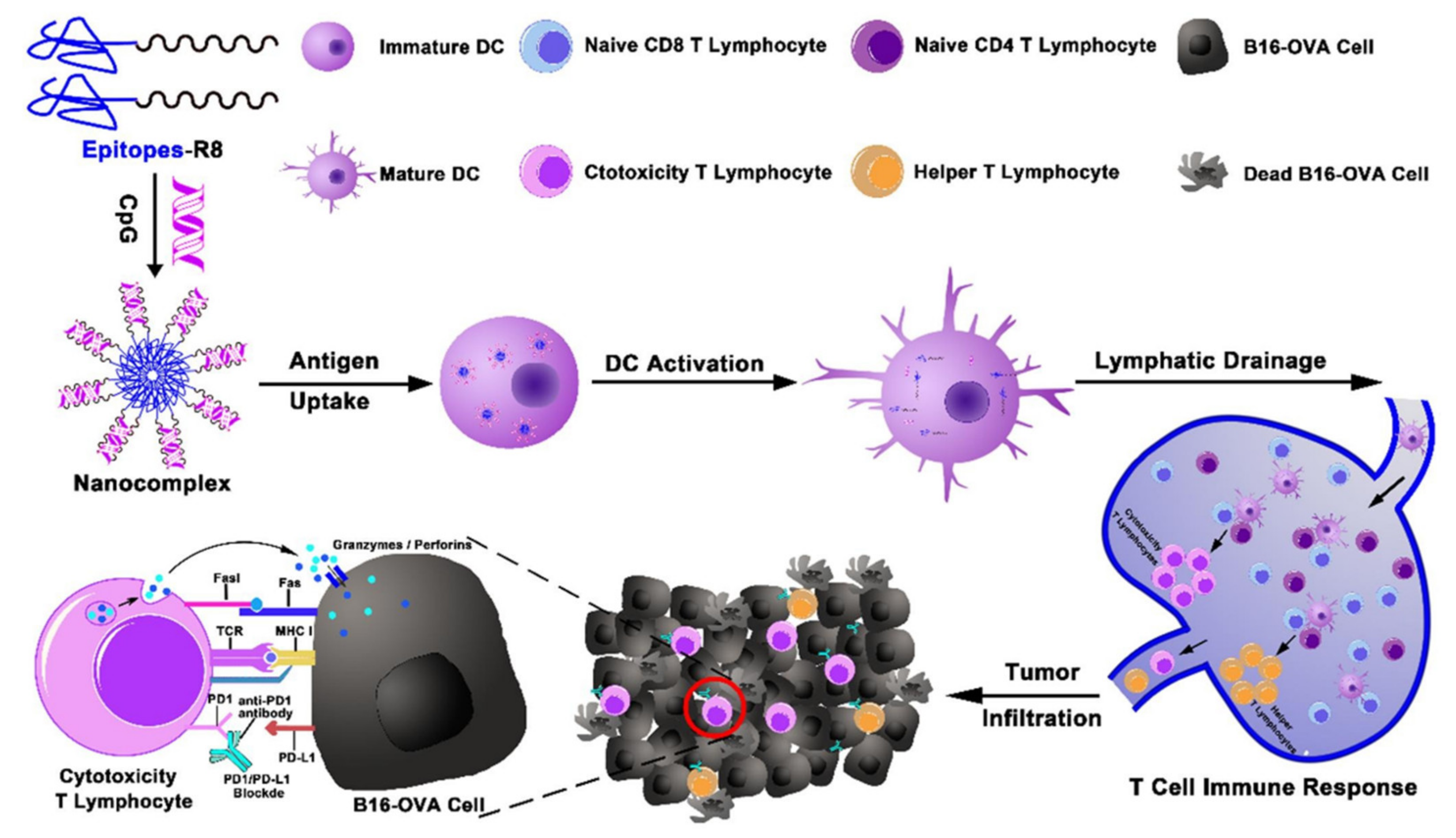 Pharmaceutics 13 01374 g006