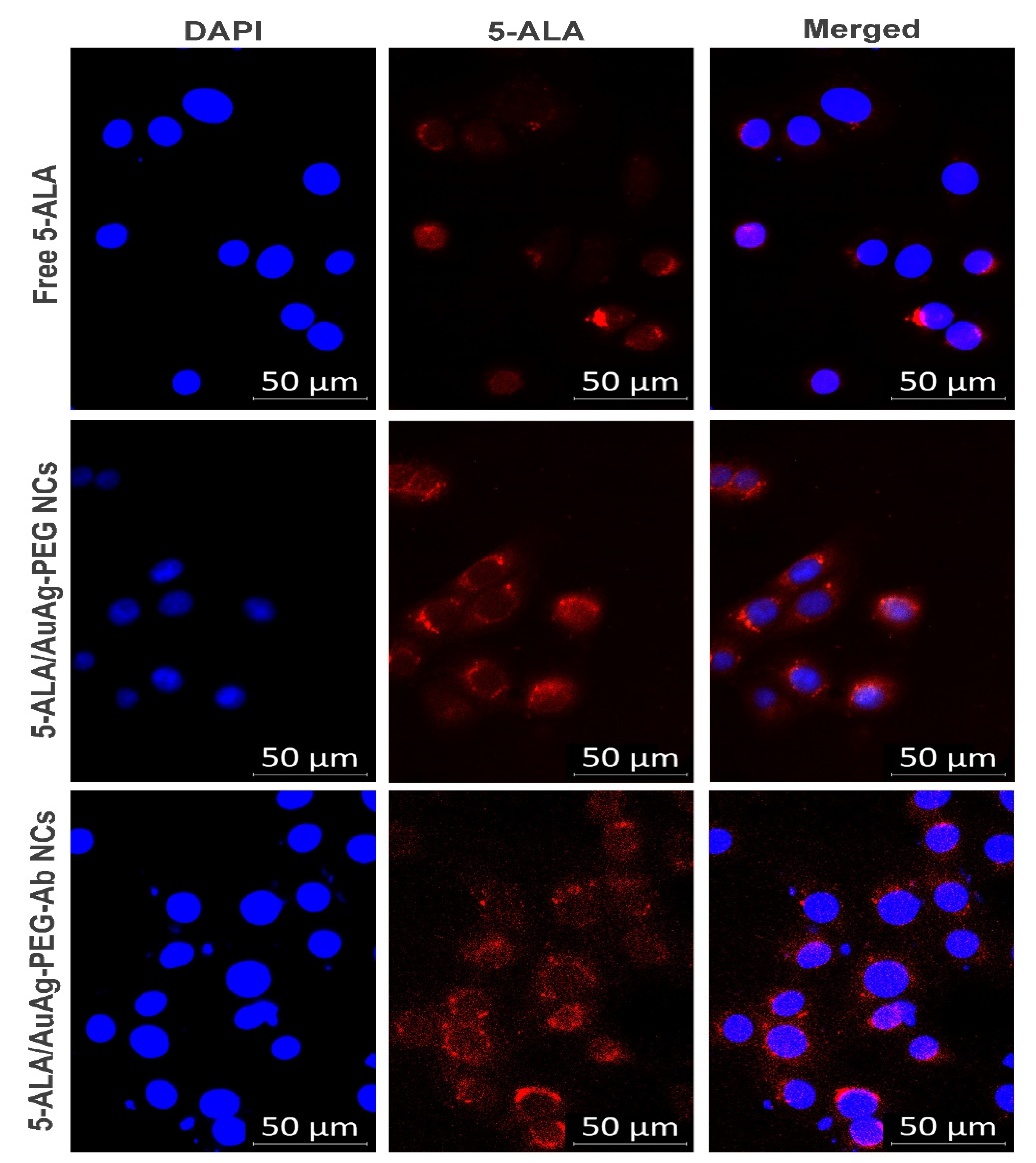 Pharmaceutics 13 01375 g002 Pharmaceutics 13 01375 g002