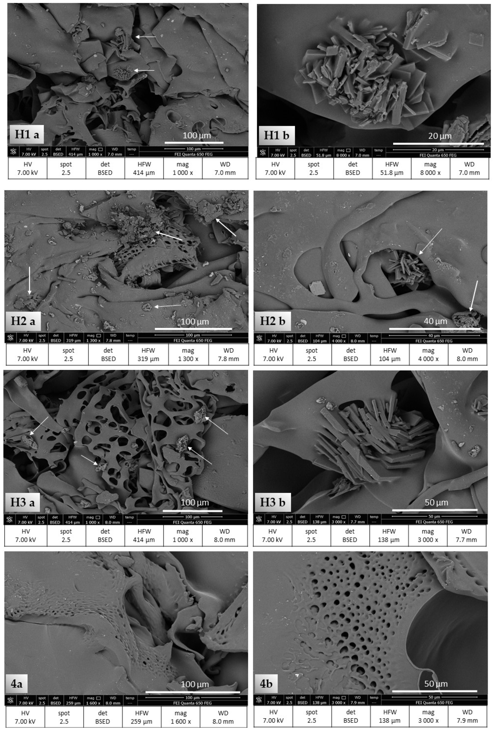 Pharmaceutics 13 01381 g005