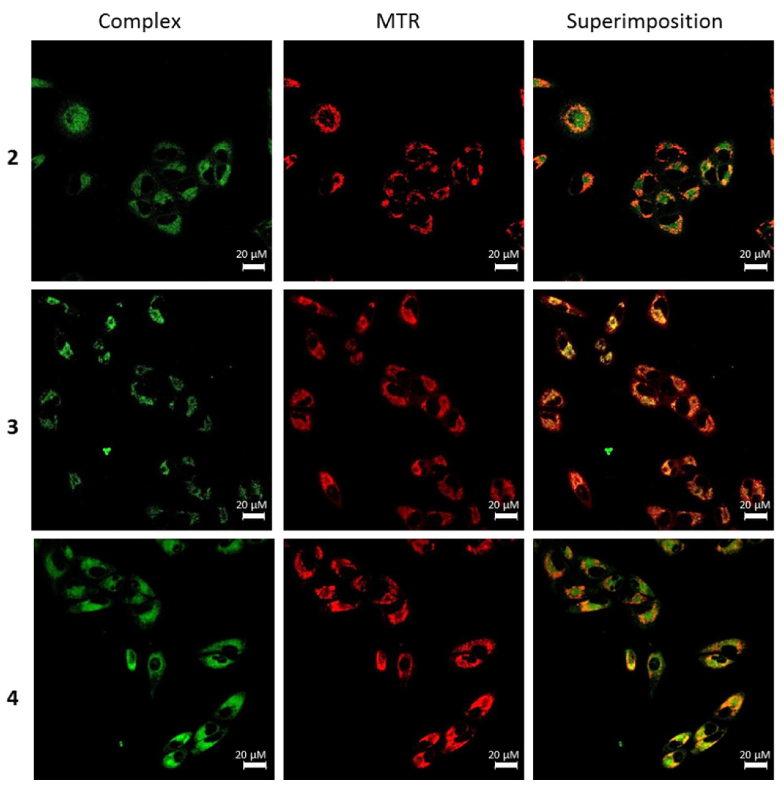 Pharmaceutics 13 01382 g008 550