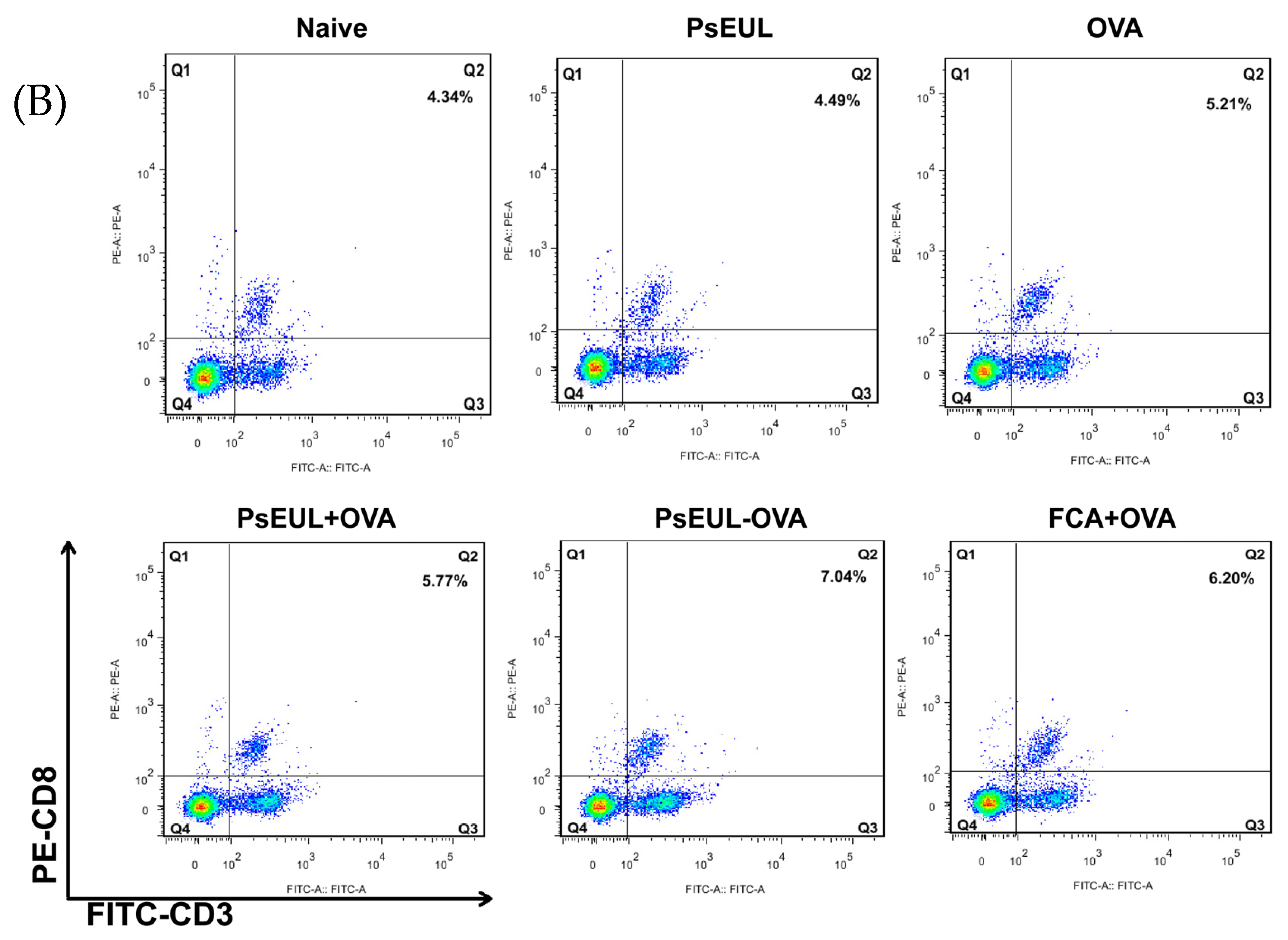 Pharmaceutics 13 01384 g009b Pharmaceutics 13 01384 g009b