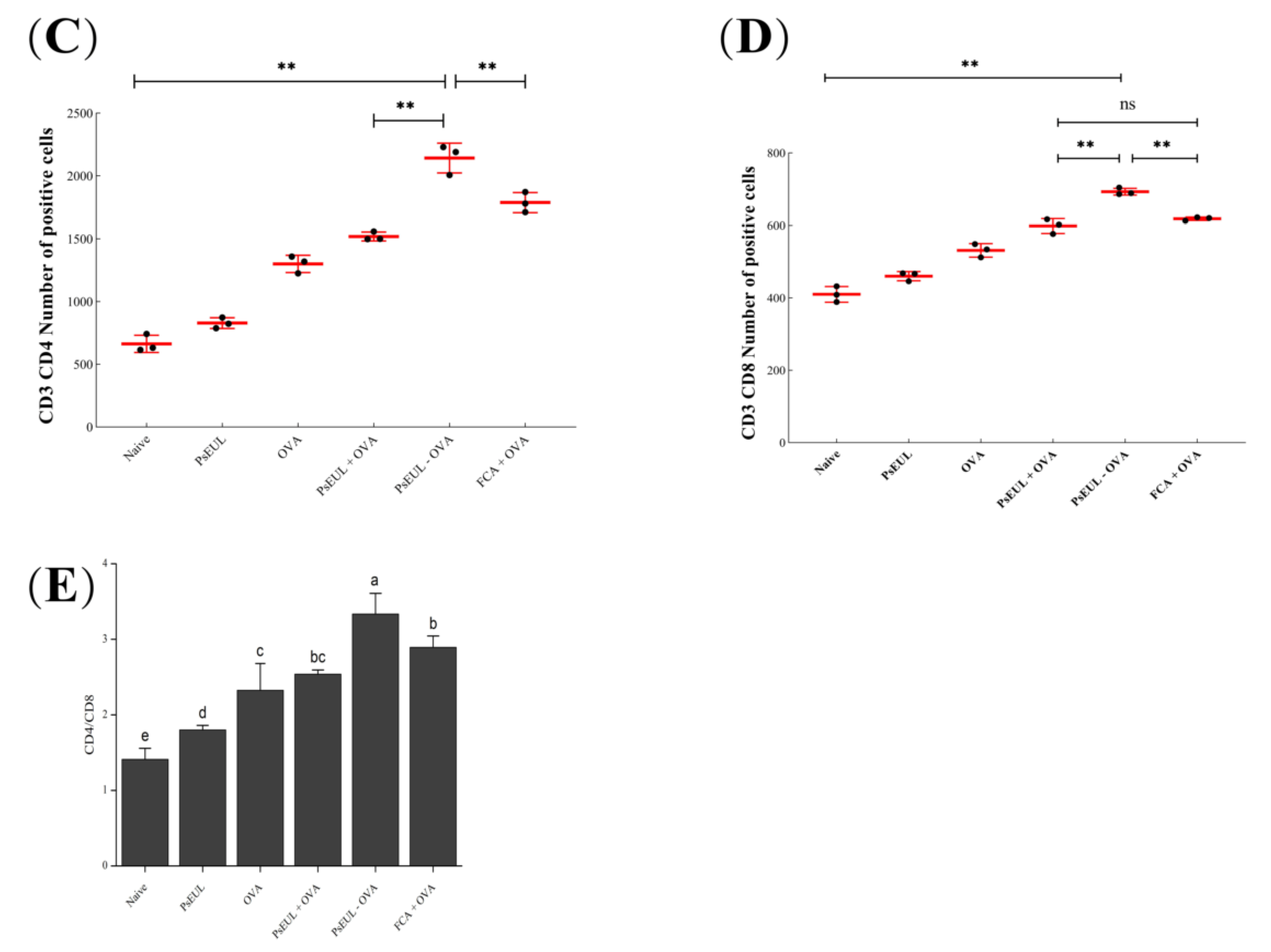 Pharmaceutics 13 01384 g009c Pharmaceutics 13 01384 g009c