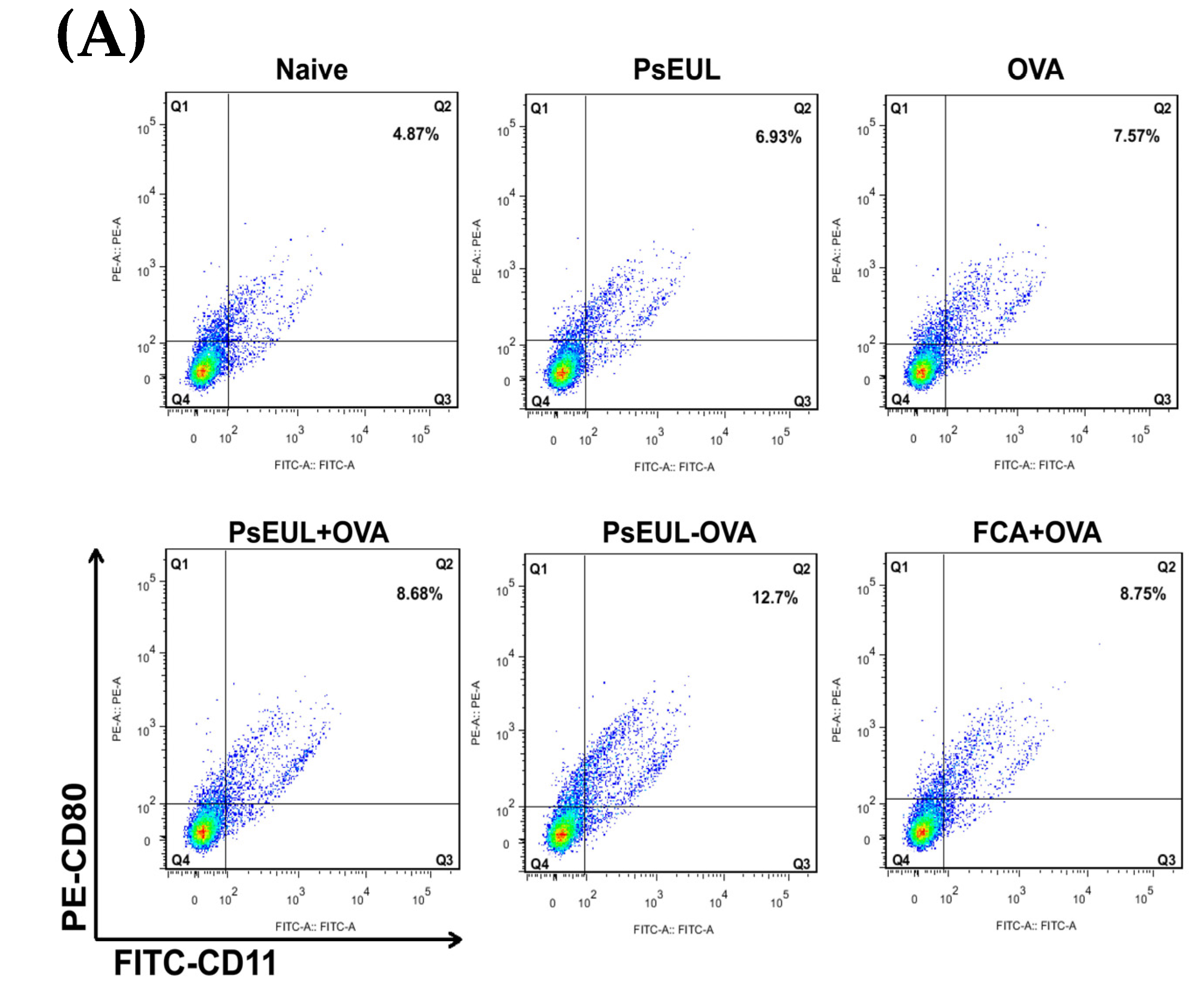 Pharmaceutics 13 01384 g010a Pharmaceutics 13 01384 g010a