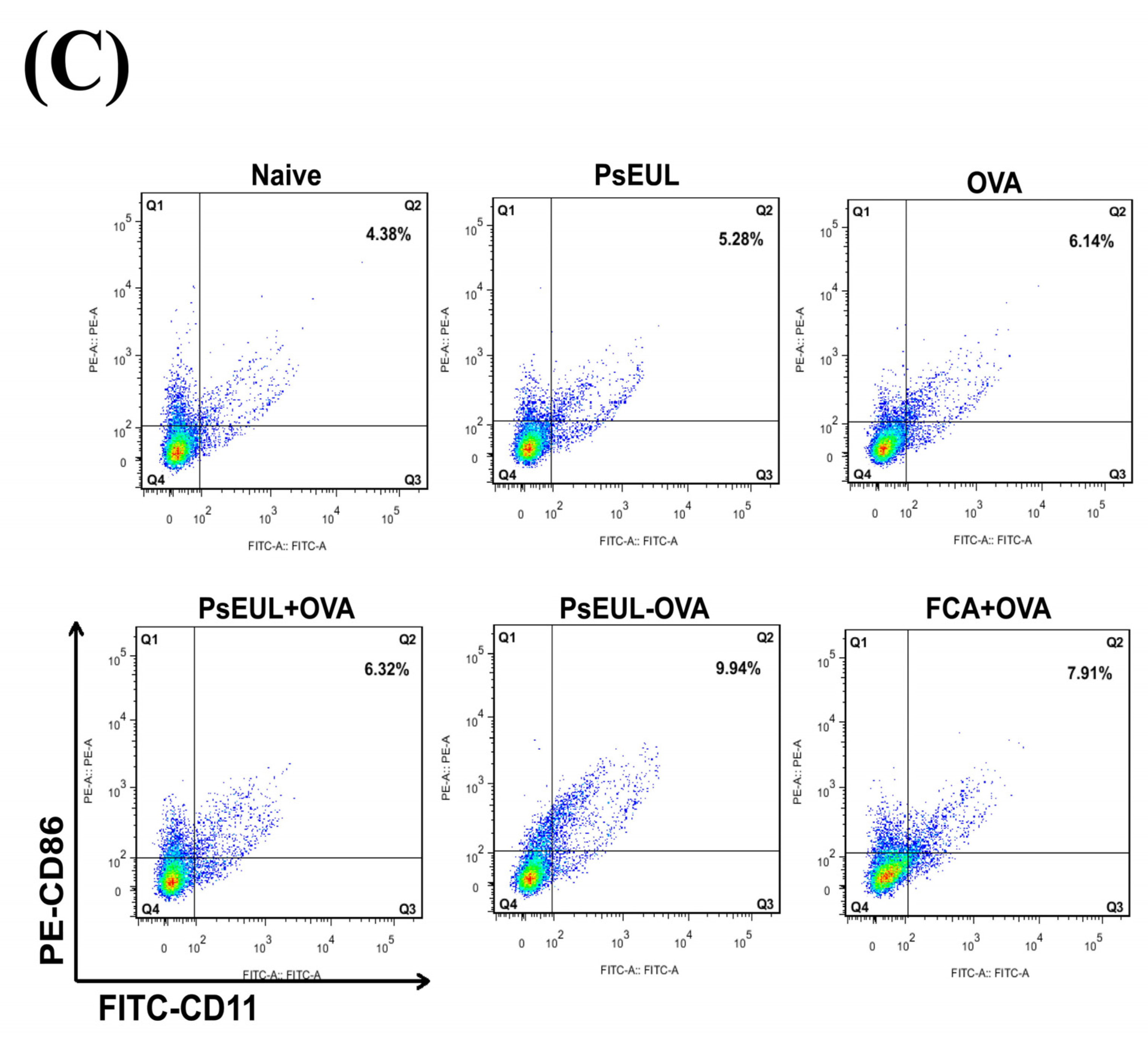 Pharmaceutics 13 01384 g010c Pharmaceutics 13 01384 g010c
