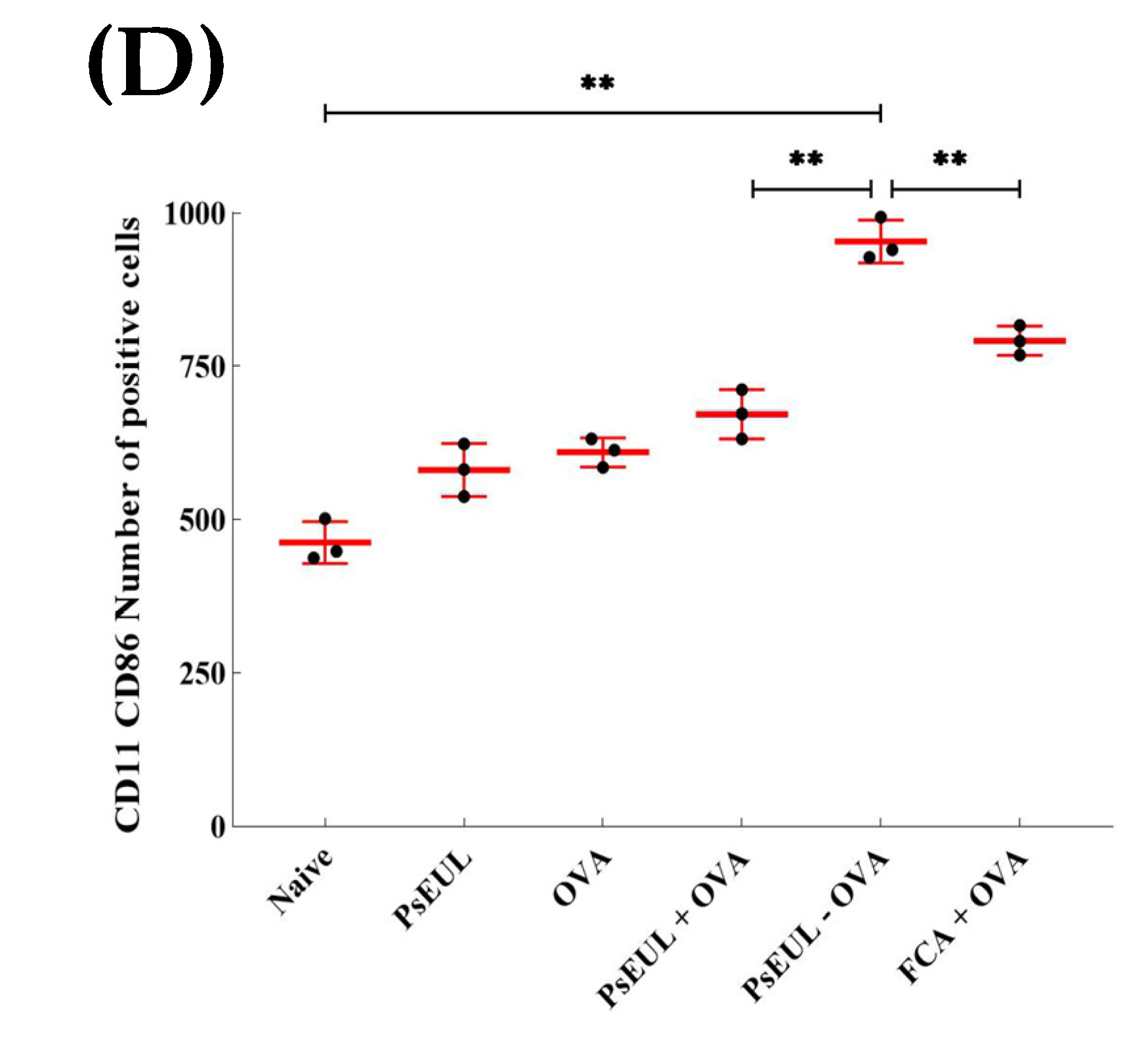 Pharmaceutics 13 01384 g010d Pharmaceutics 13 01384 g010d