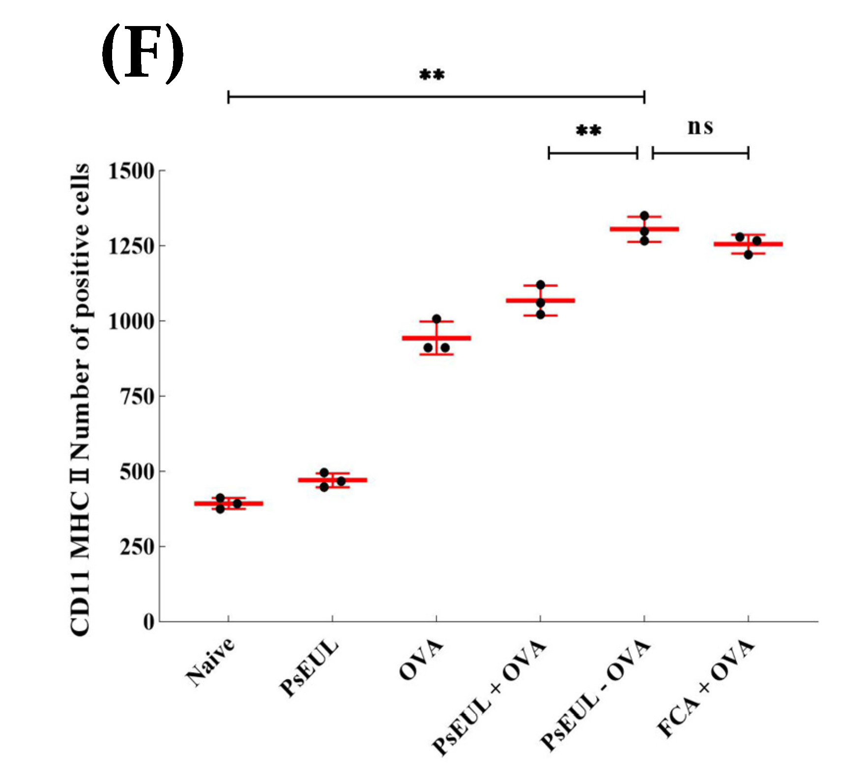 Pharmaceutics 13 01384 g010f Pharmaceutics 13 01384 g010f