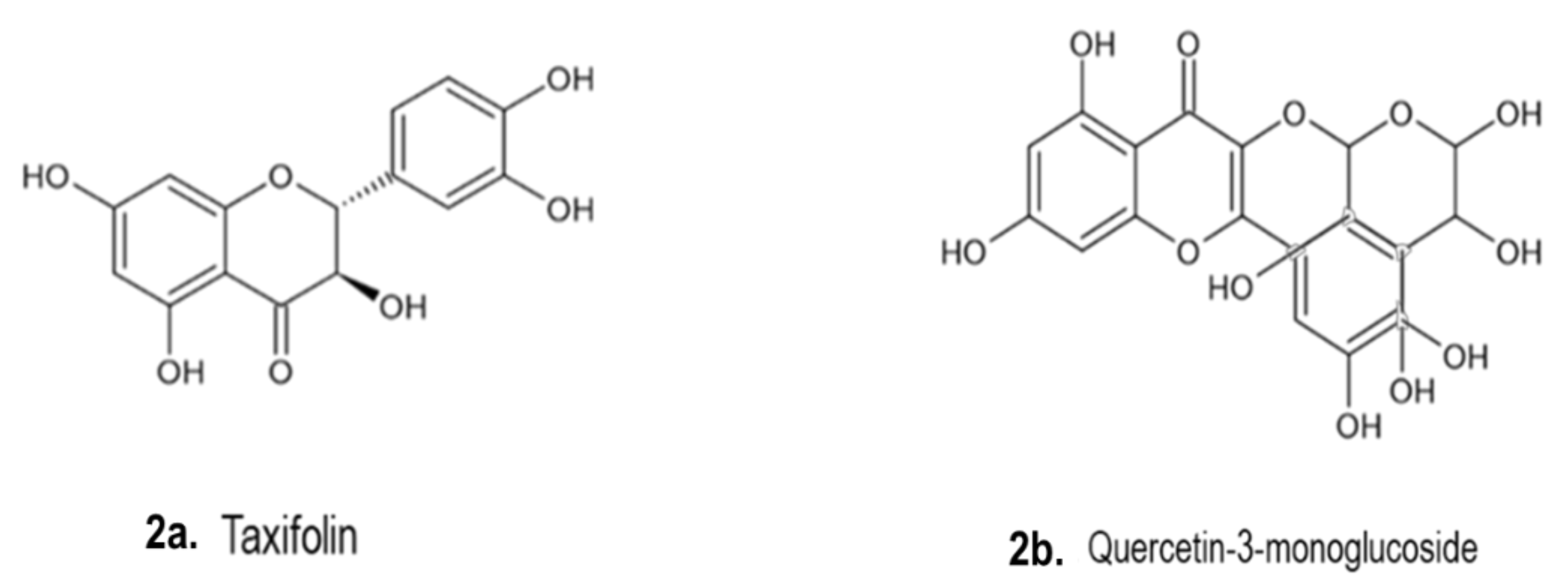 Pharmaceutics 13 01385 g002a