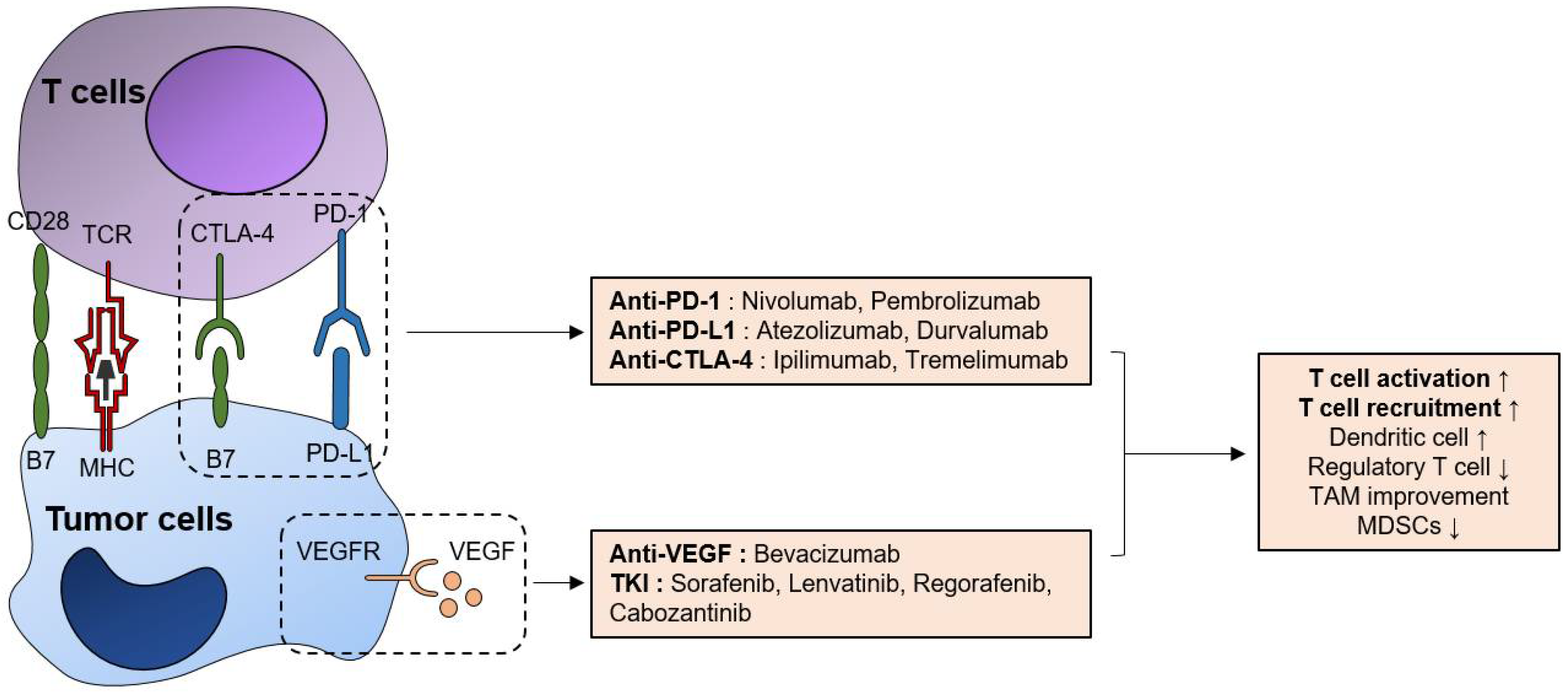 Pharmaceutics 13 01387 g001 Pharmaceutics 13 01387 g001