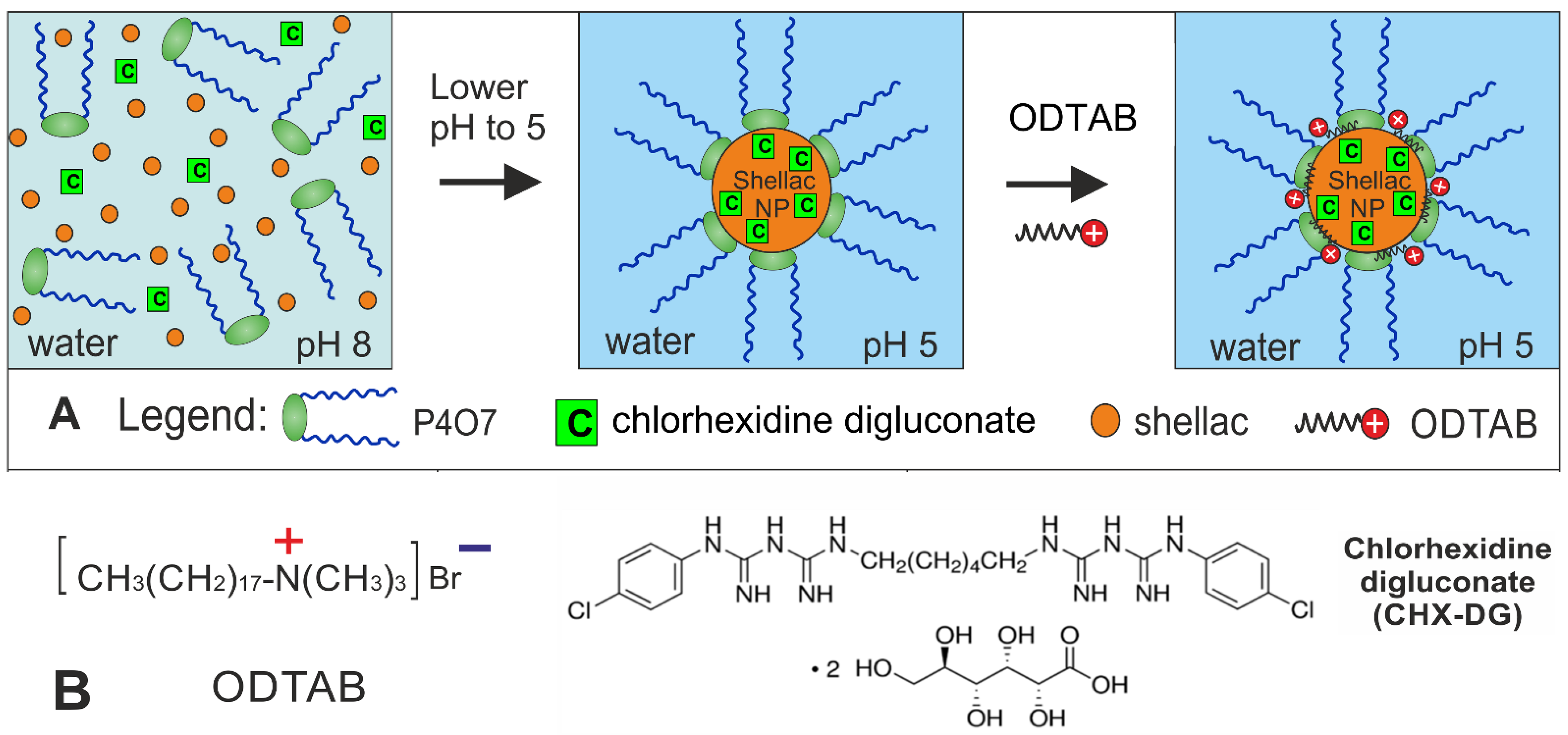 Pharmaceutics 13 01389 g001
