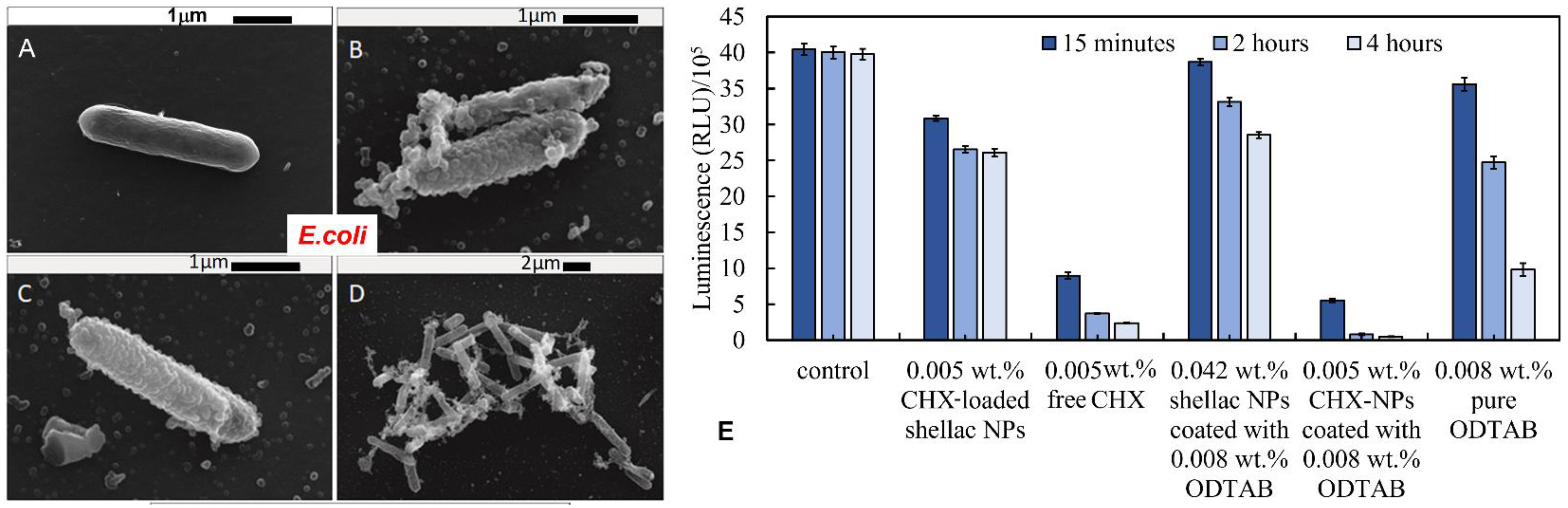 Pharmaceutics 13 01389 g005