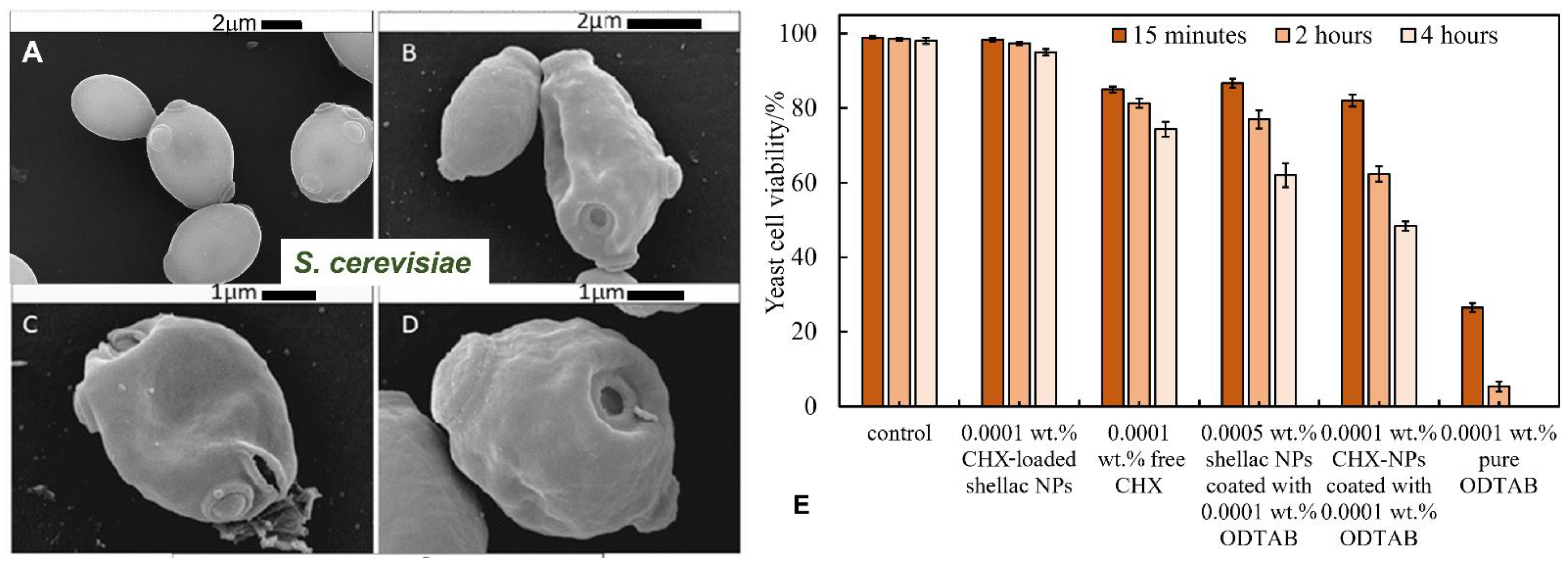 Pharmaceutics 13 01389 g006
