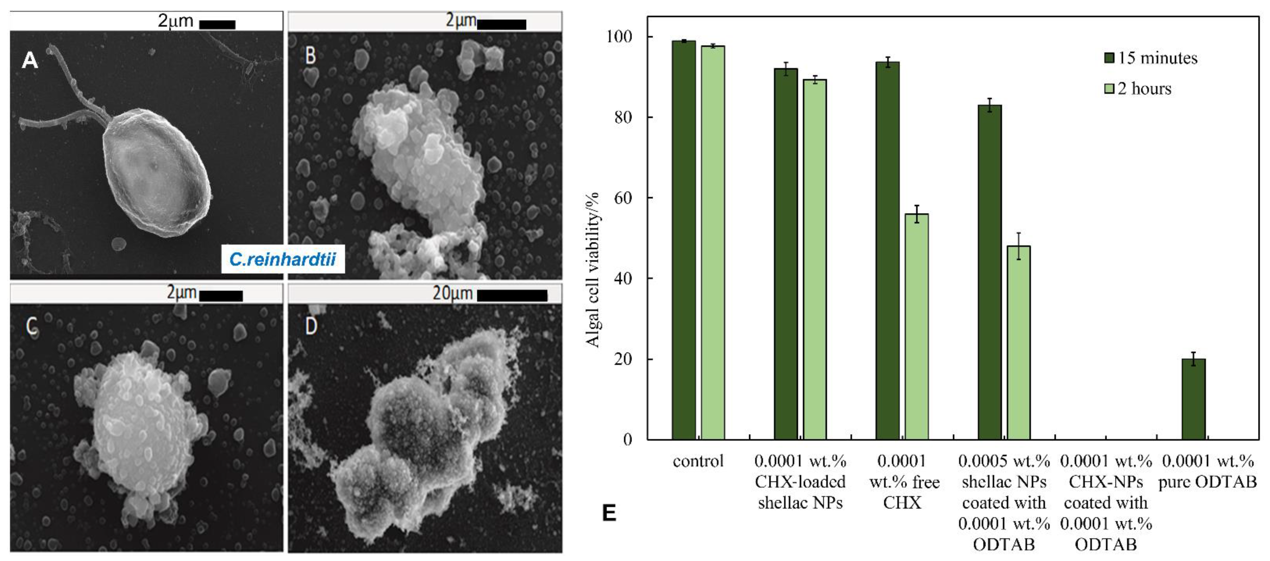 Pharmaceutics 13 01389 g007