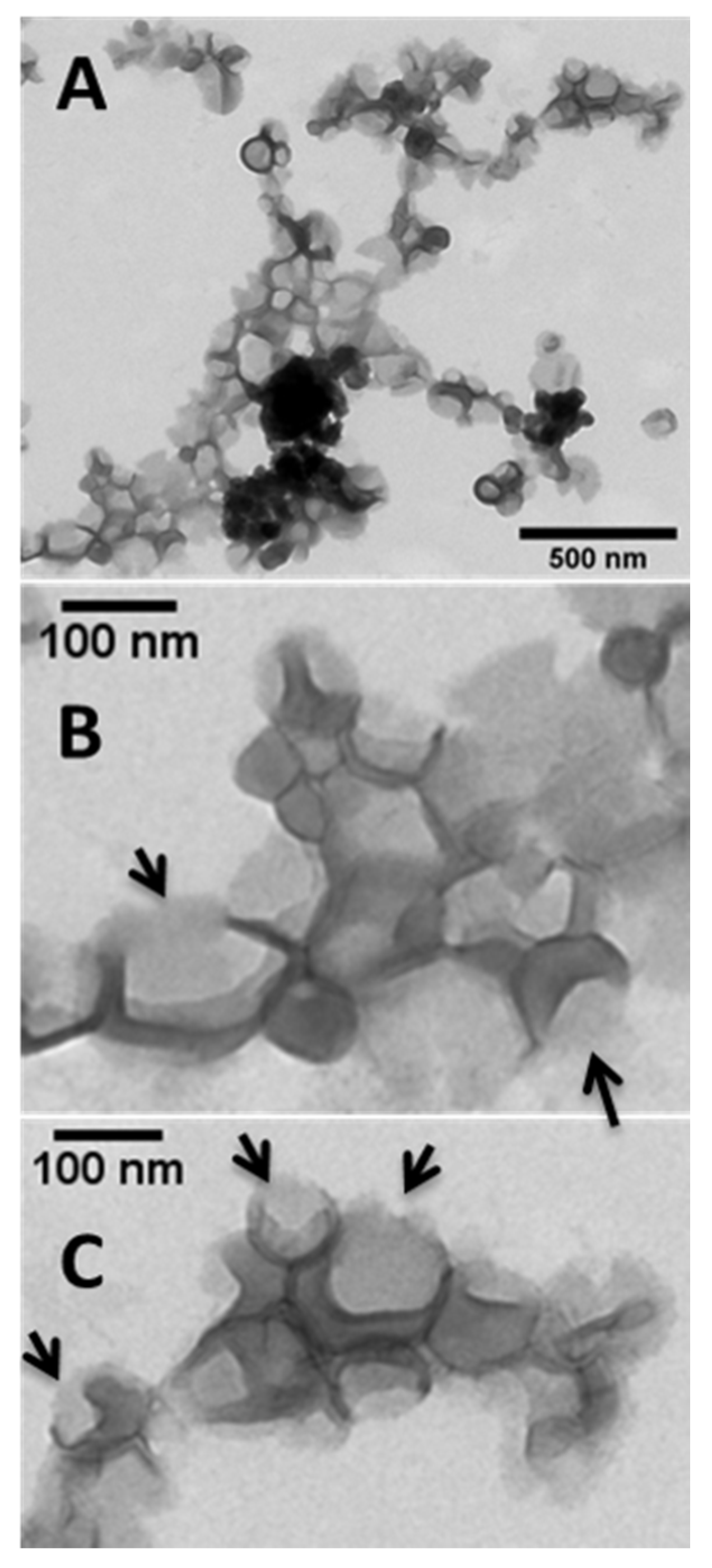 Pharmaceutics 13 01396 g006