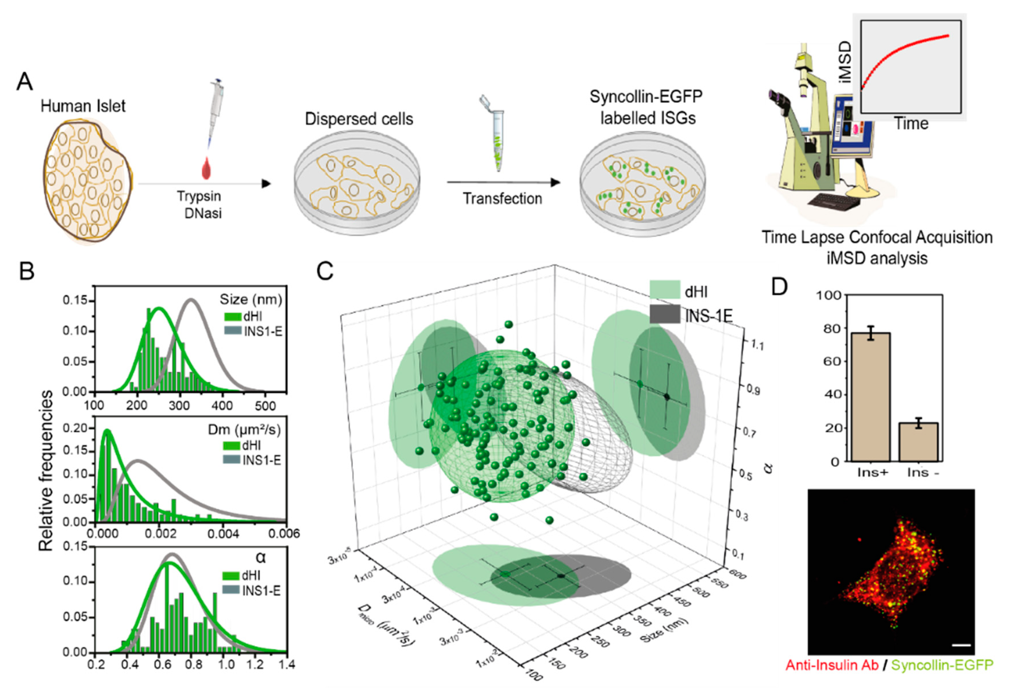Pharmaceutics 13 01403 g001 550