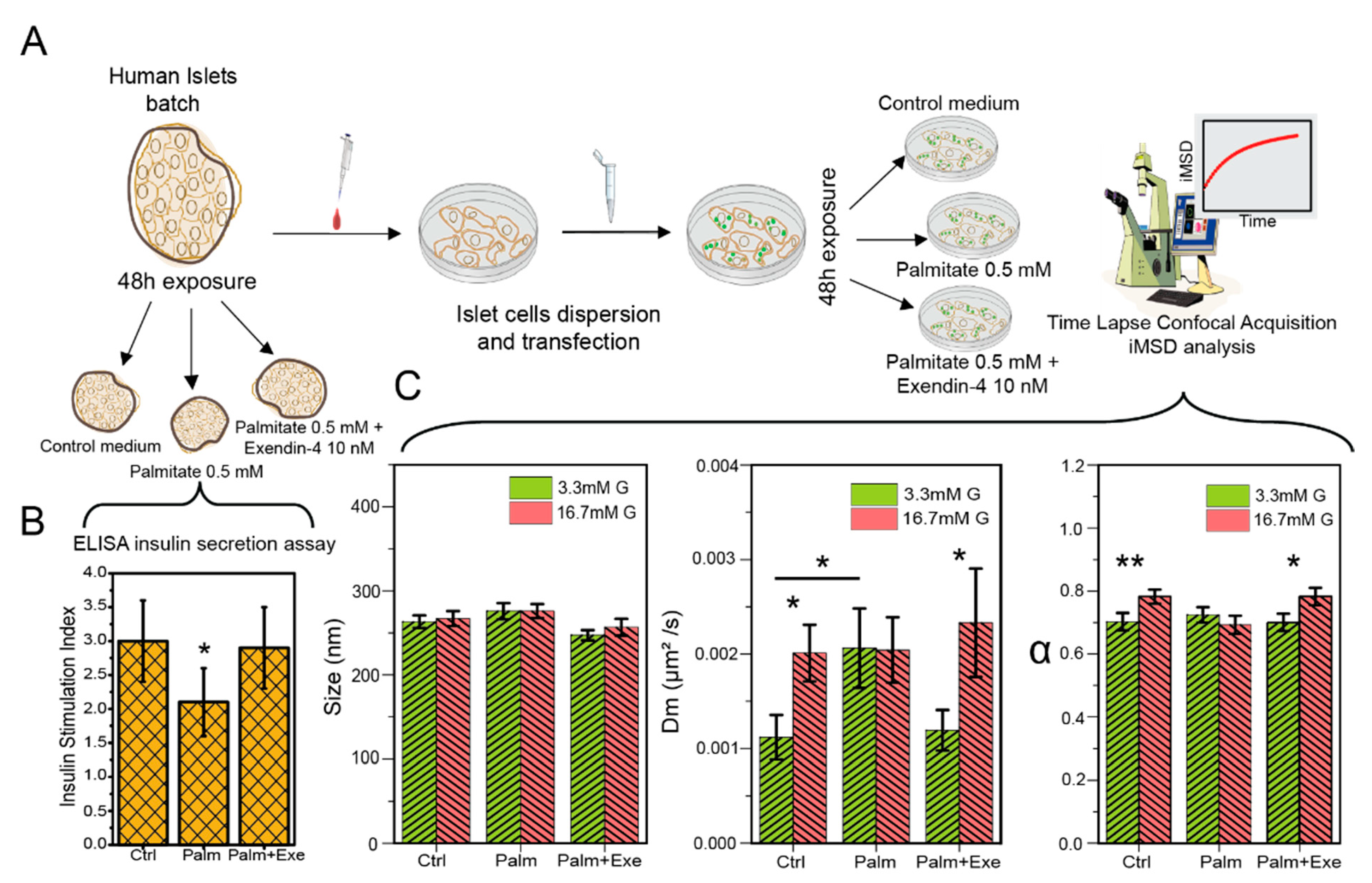 Pharmaceutics 13 01403 g002 550