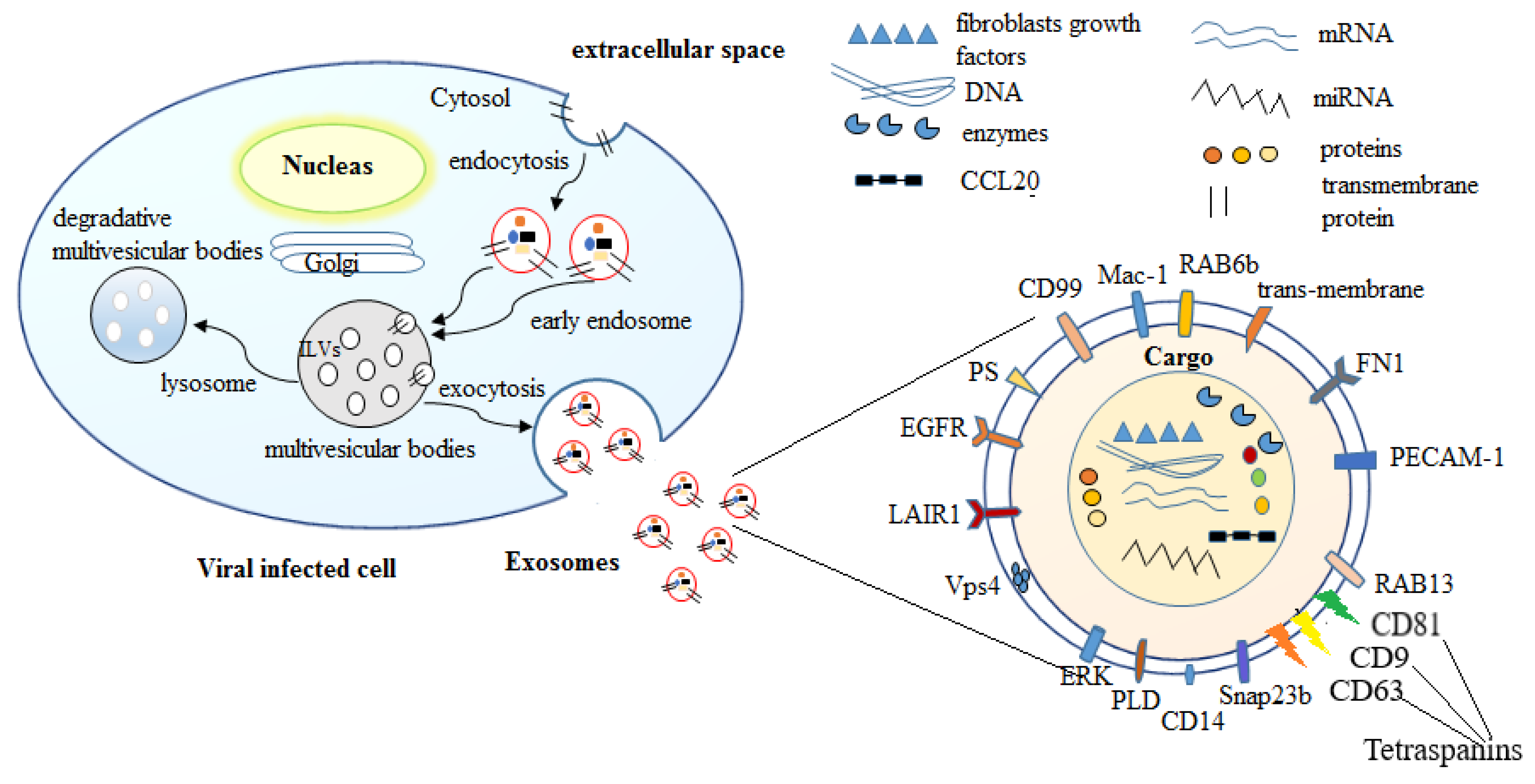 Pharmaceutics, Free Full-Text