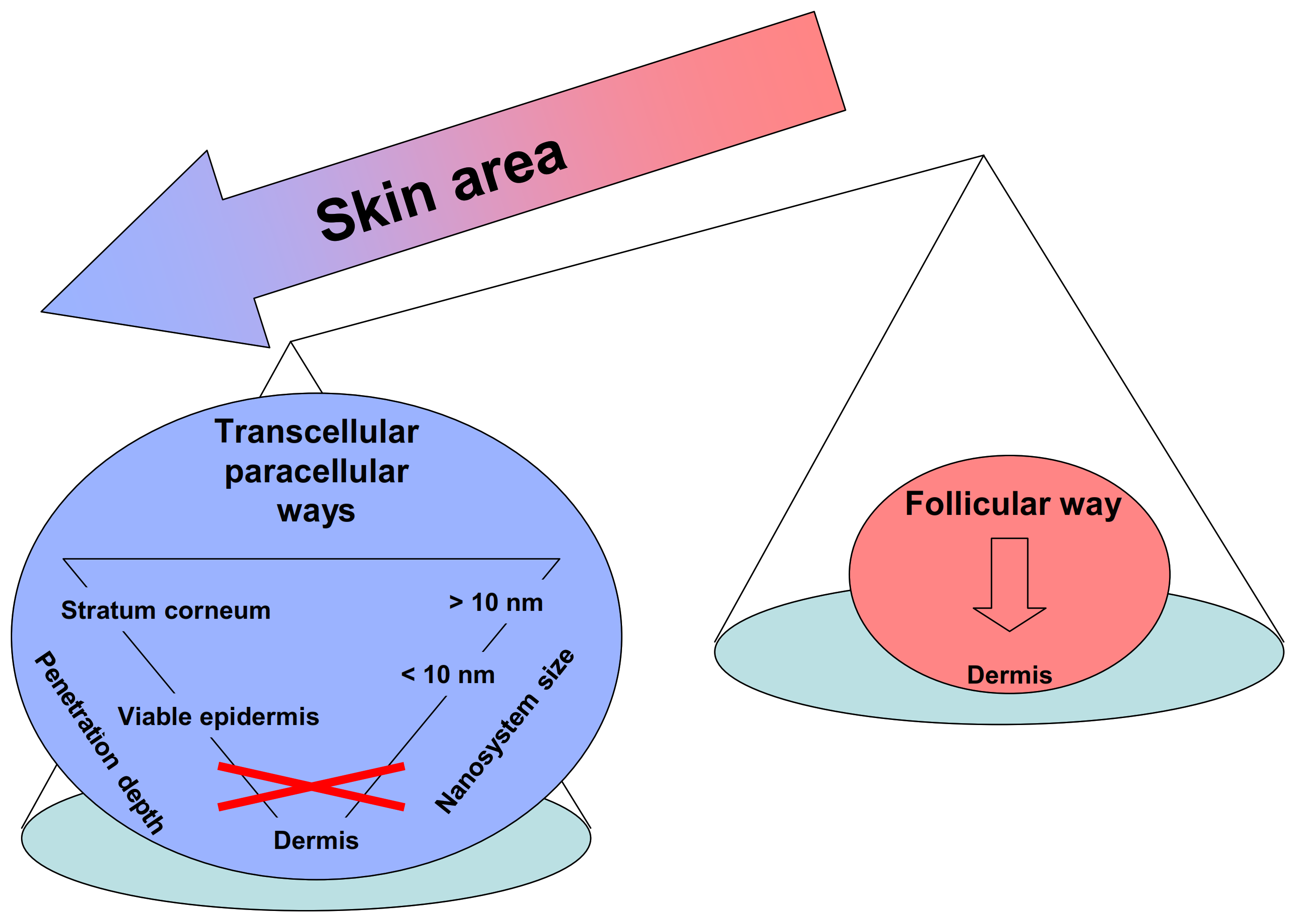 Pharmaceutics 13 01408 g002 550
