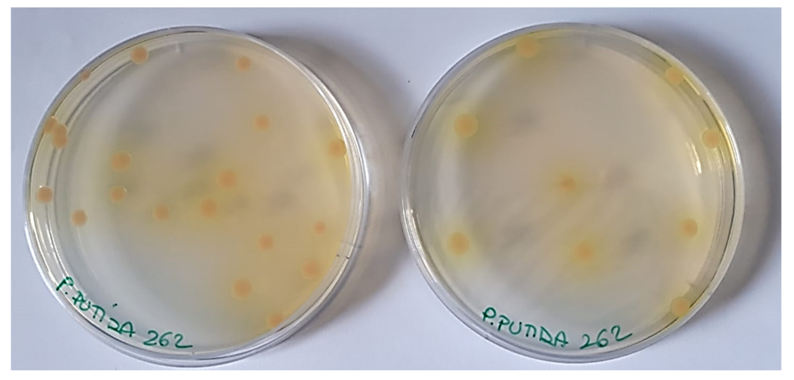 Pharmaceutics 13 01411 g004