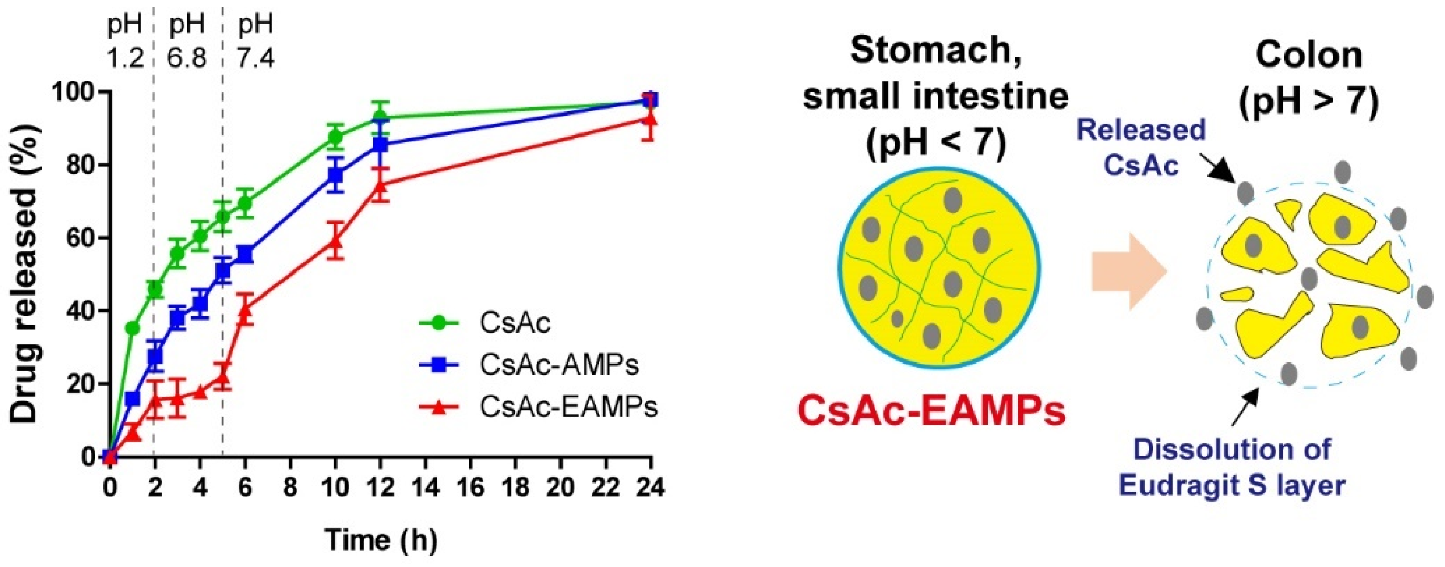 Pharmaceutics 13 01412 g002 Pharmaceutics 13 01412 g002