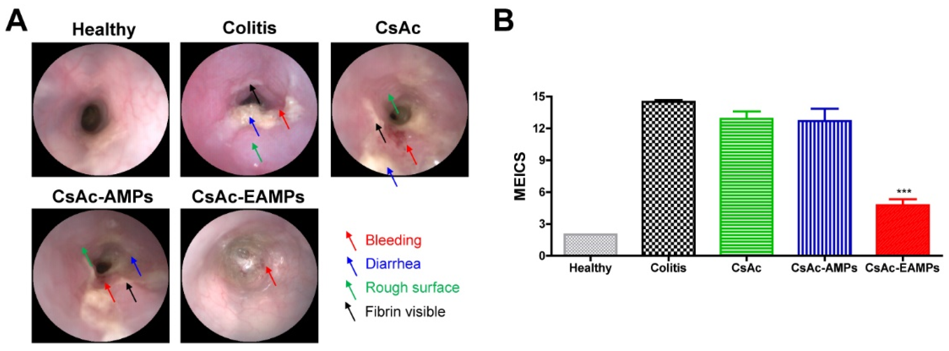 Pharmaceutics 13 01412 g004 Pharmaceutics 13 01412 g004