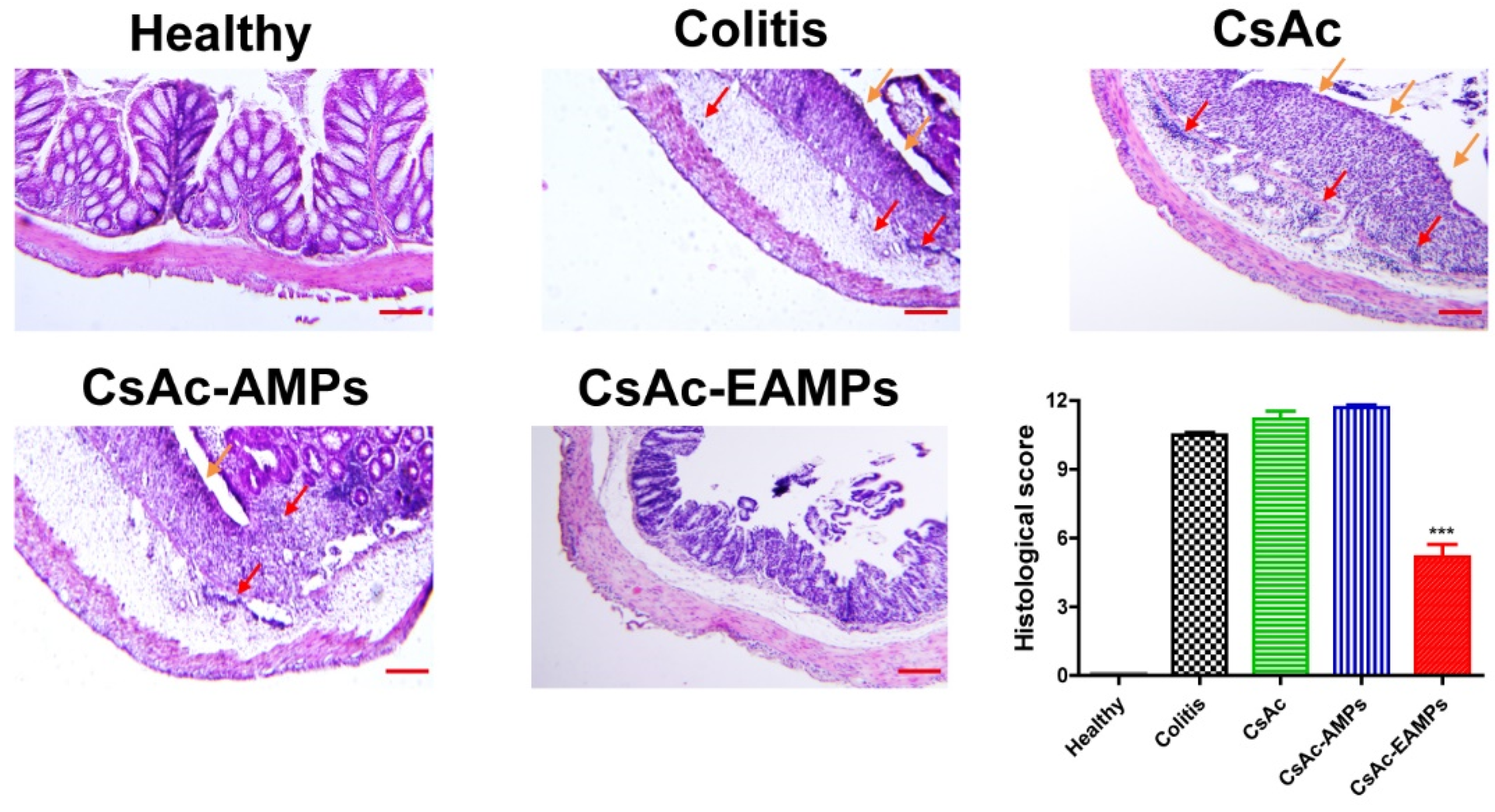 Pharmaceutics 13 01412 g005 Pharmaceutics 13 01412 g005