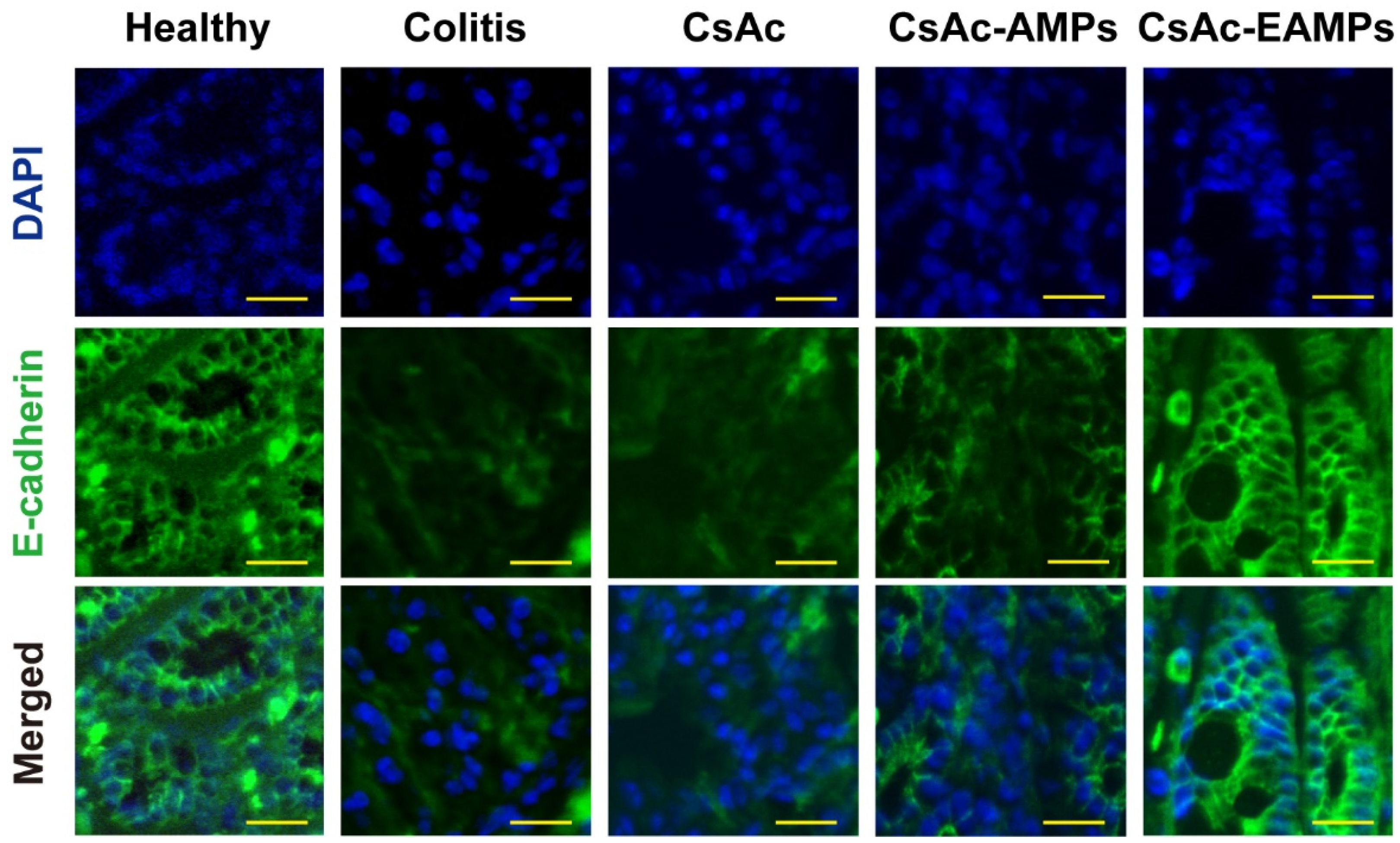 Pharmaceutics 13 01412 g006 Pharmaceutics 13 01412 g006