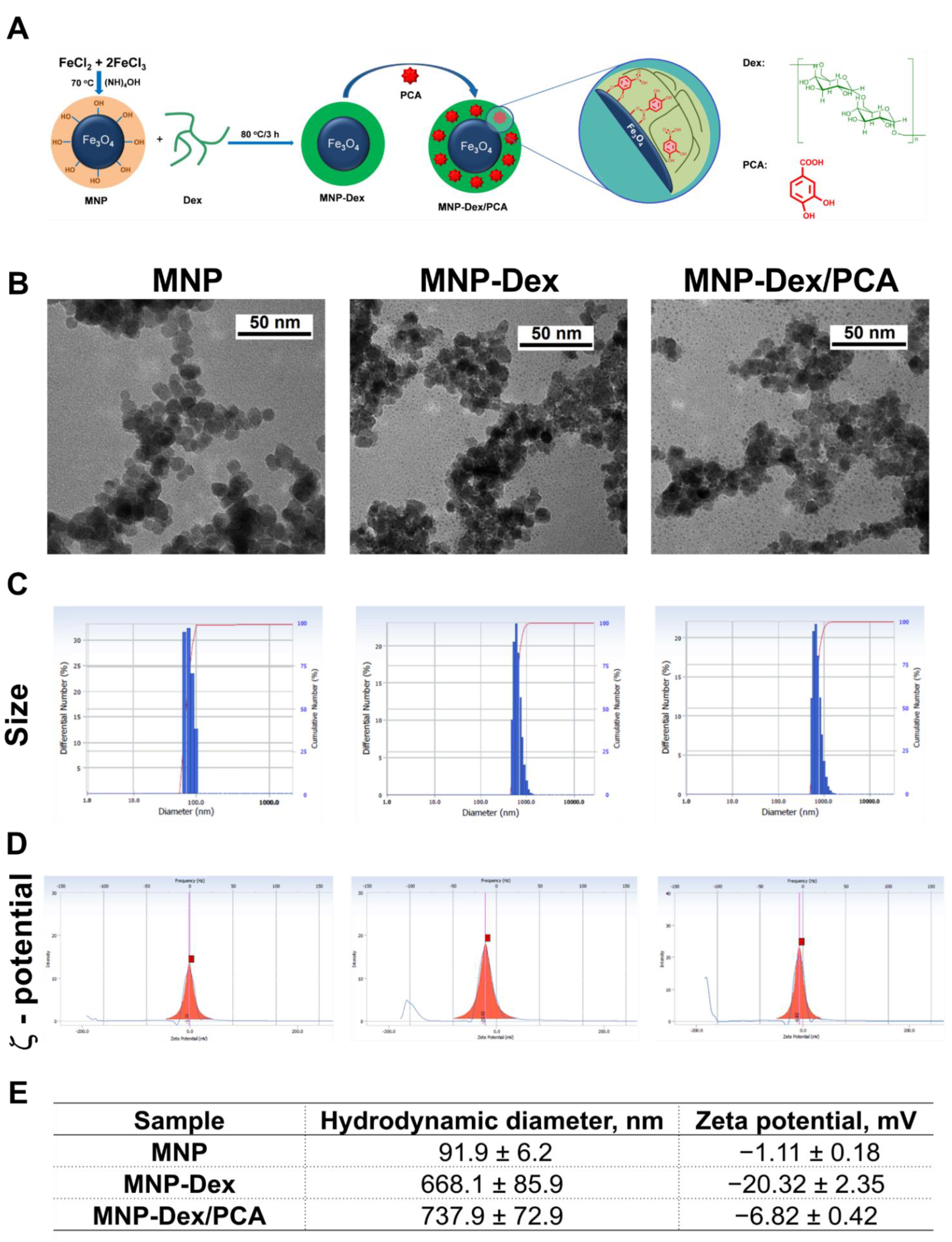 Pharmaceutics 13 01414 g001