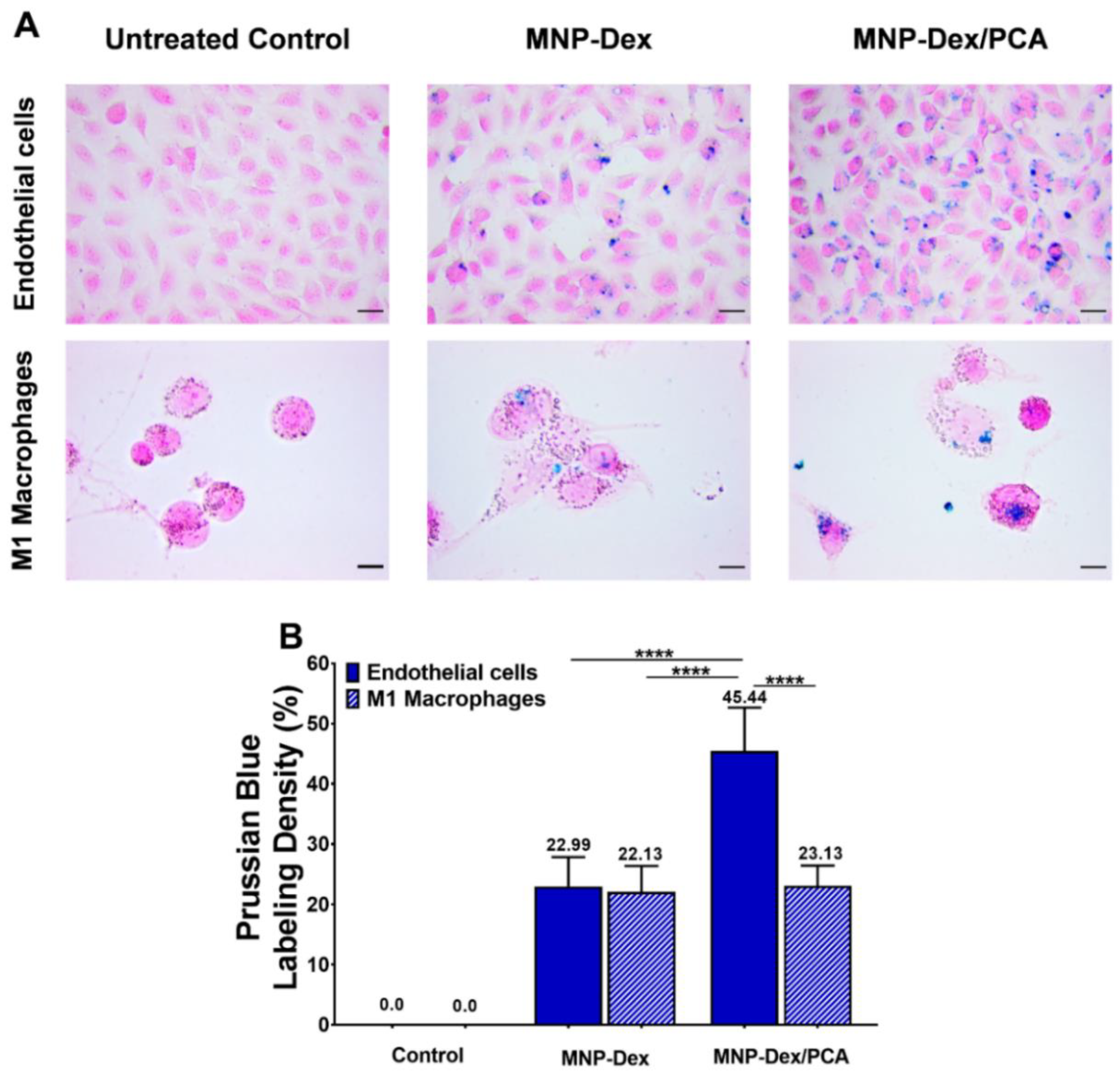 Pharmaceutics 13 01414 g003