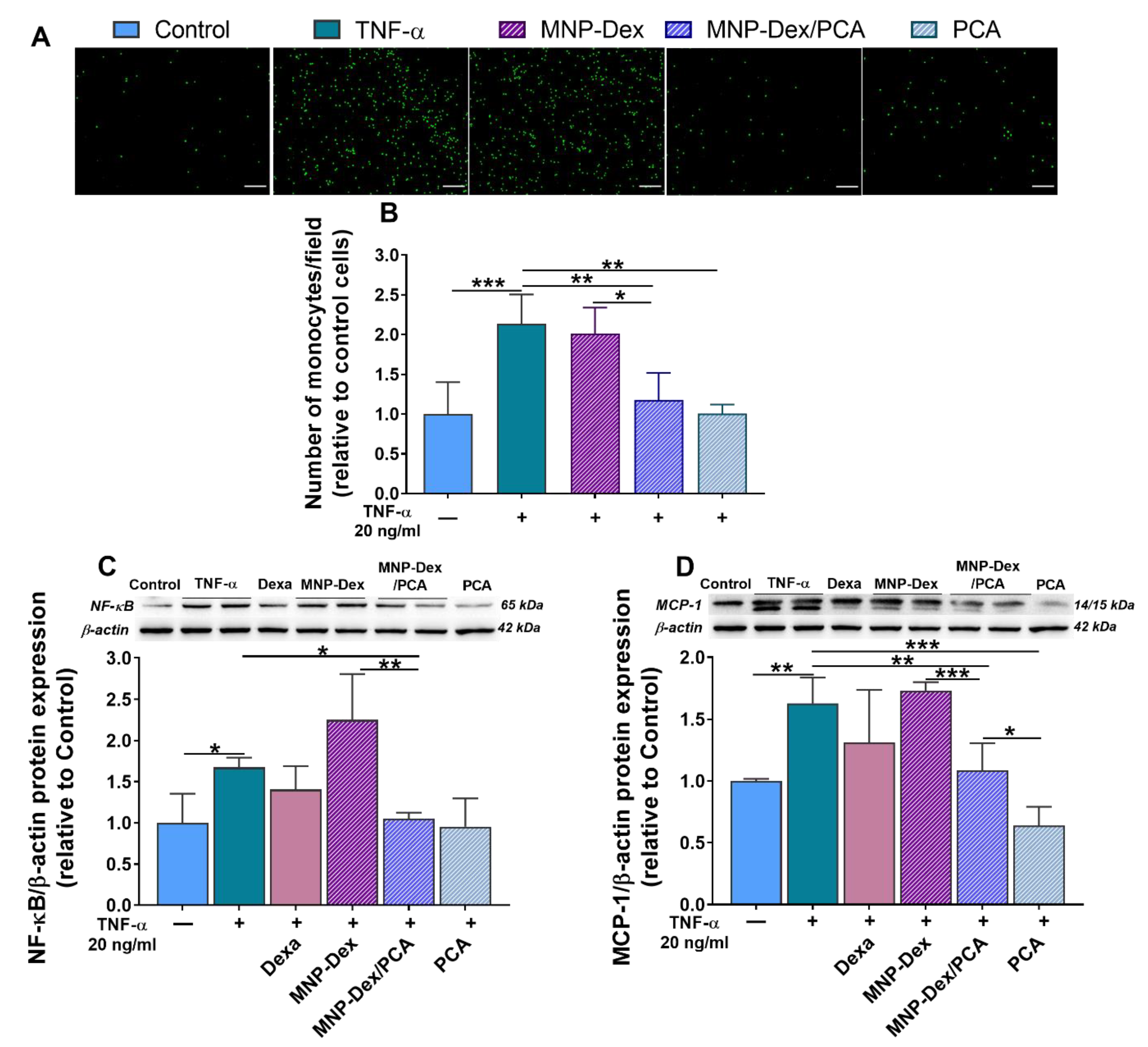 Pharmaceutics 13 01414 g004