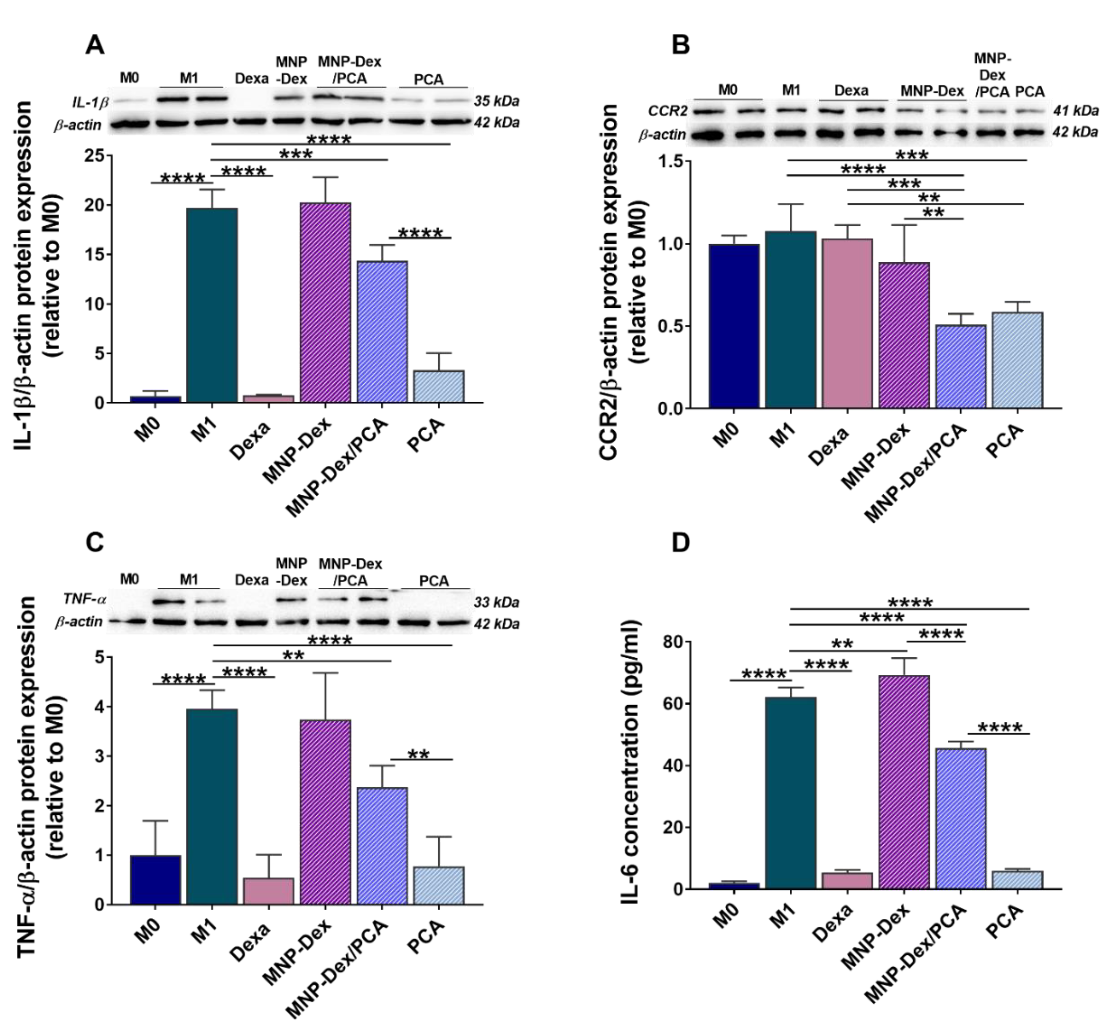 Pharmaceutics 13 01414 g005
