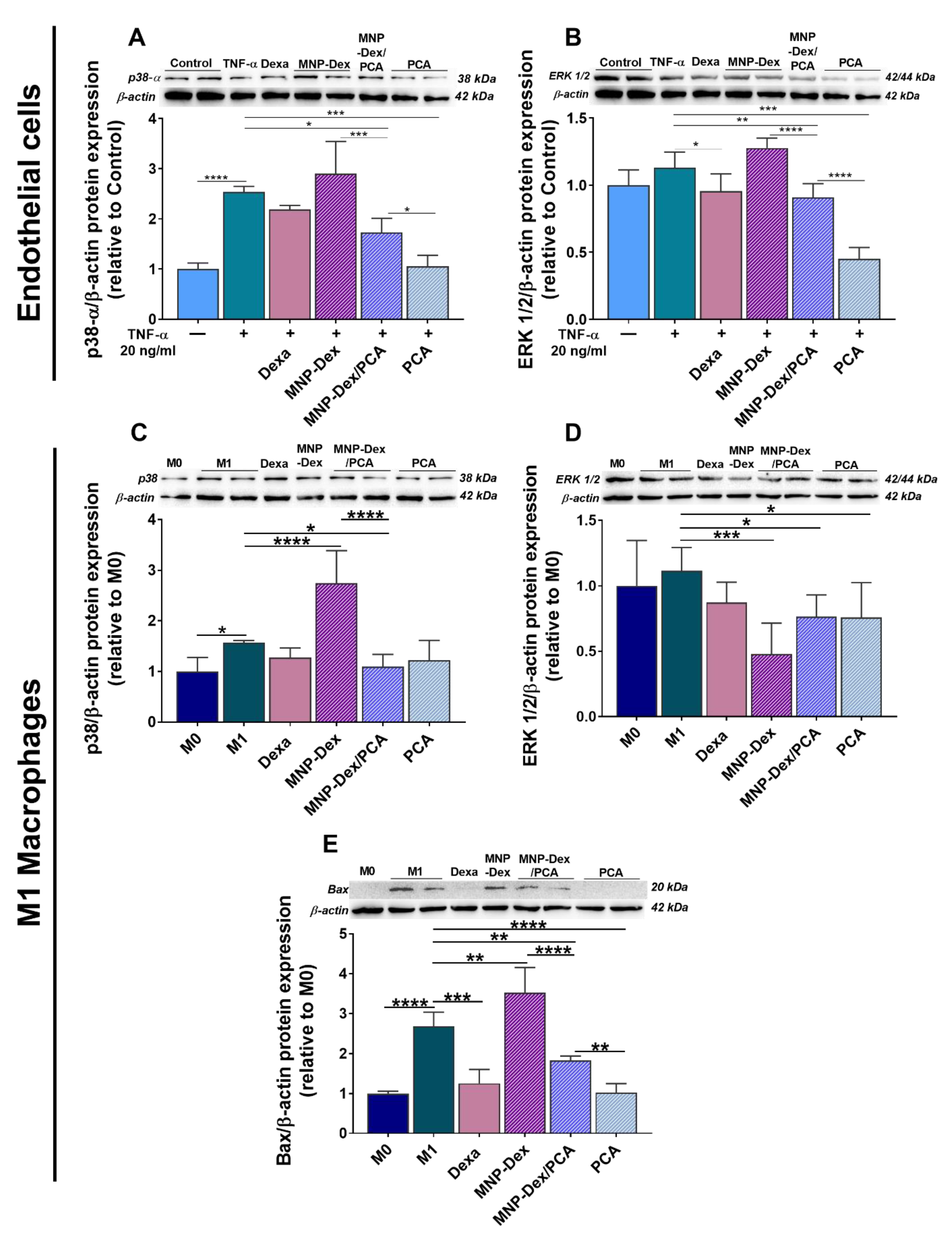 Pharmaceutics 13 01414 g006