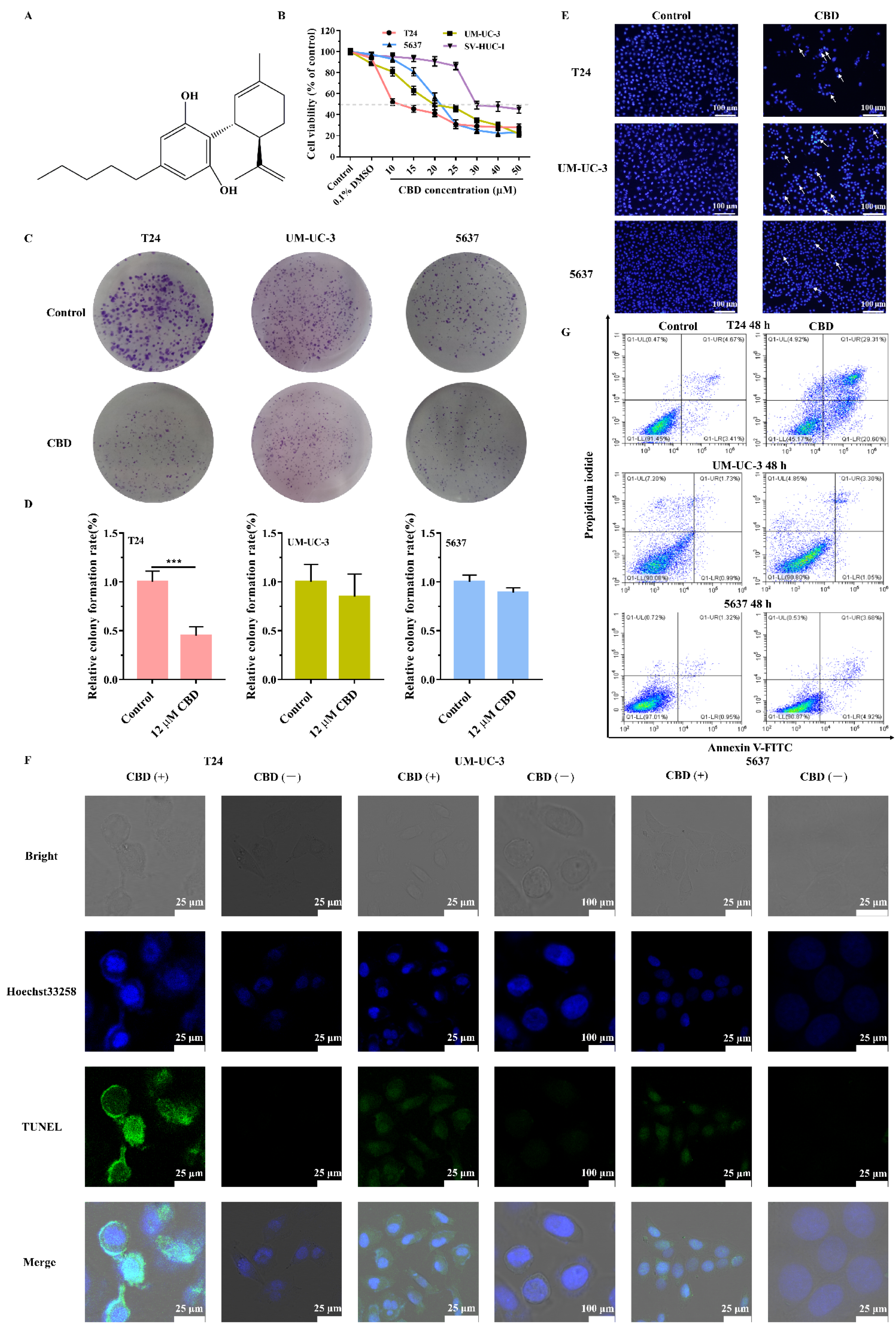 Pharmaceutics 13 01415 g001