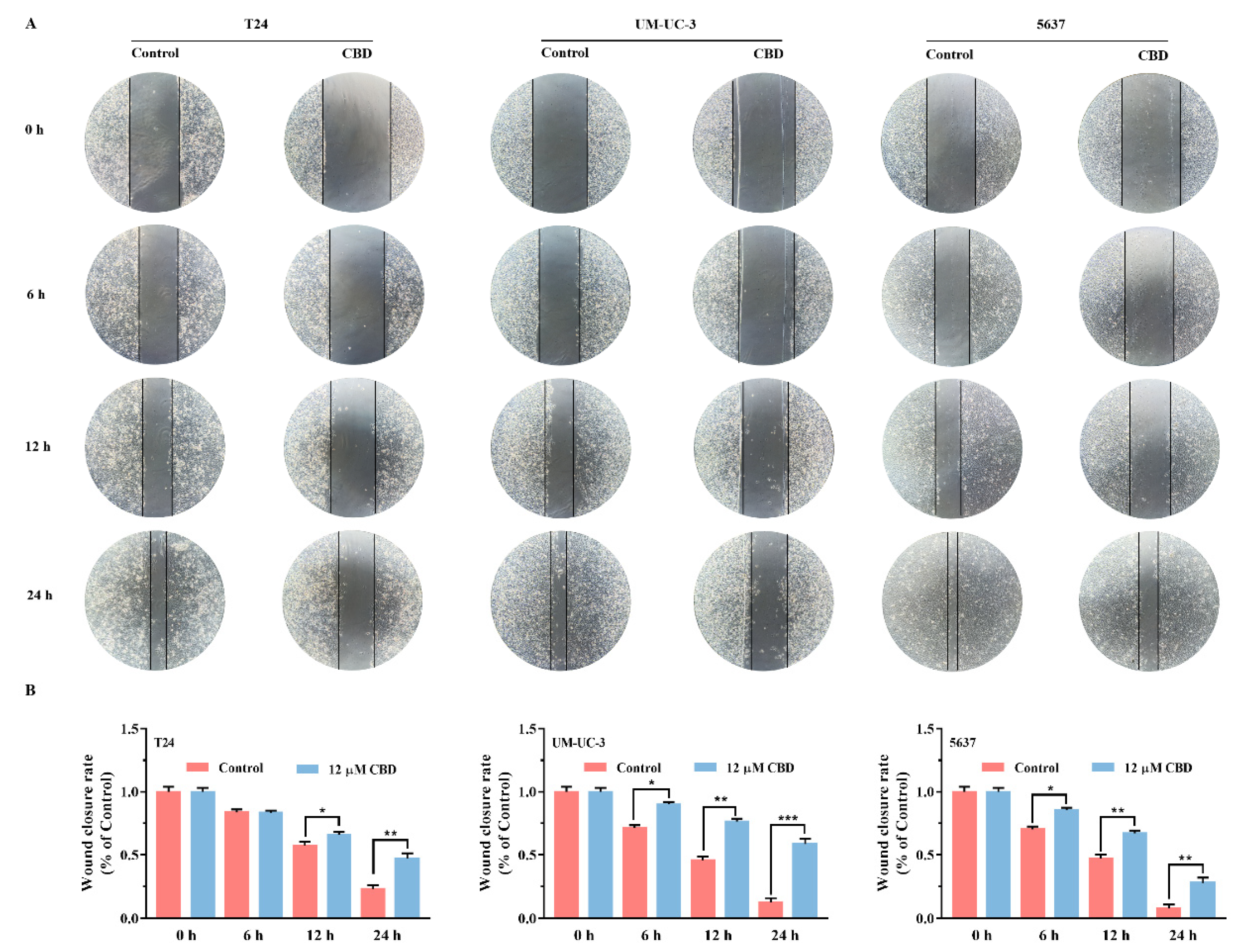 Pharmaceutics 13 01415 g002