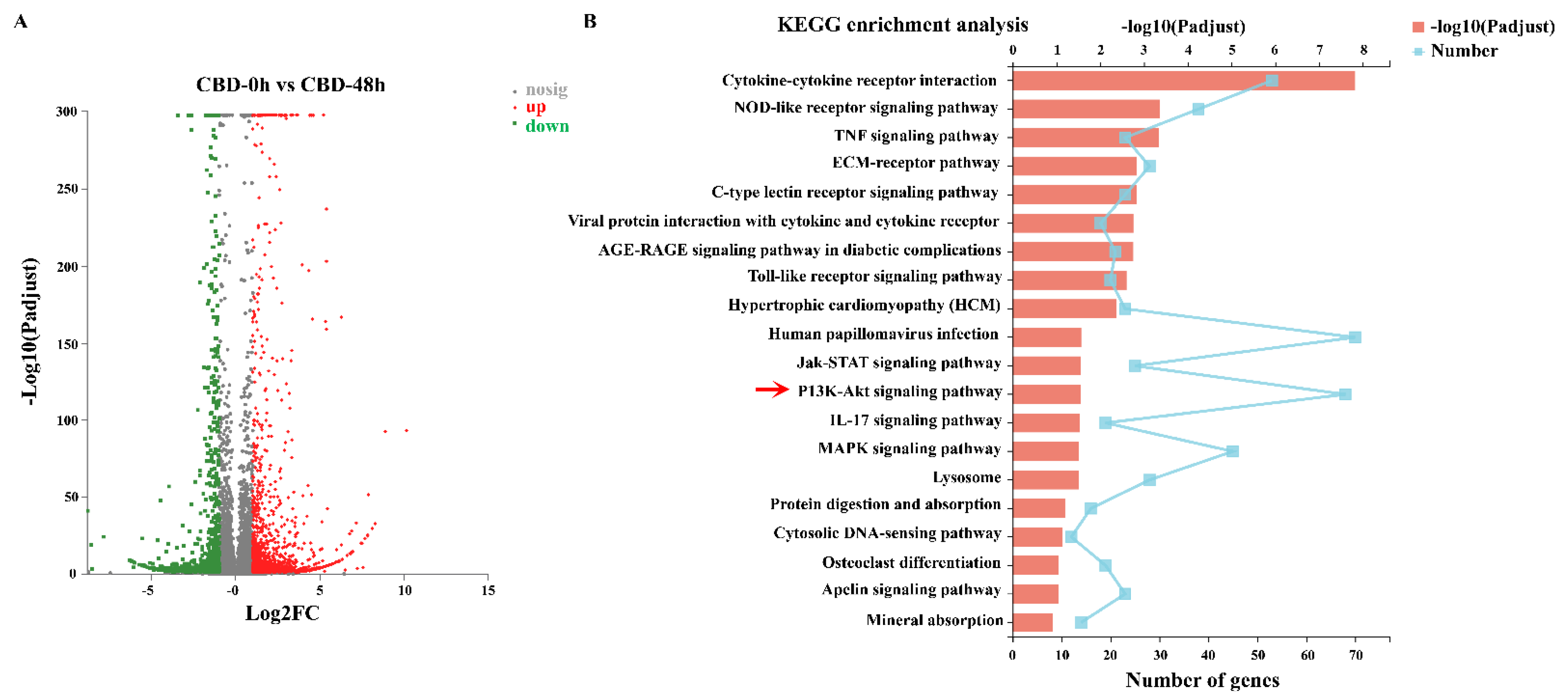 Pharmaceutics 13 01415 g003