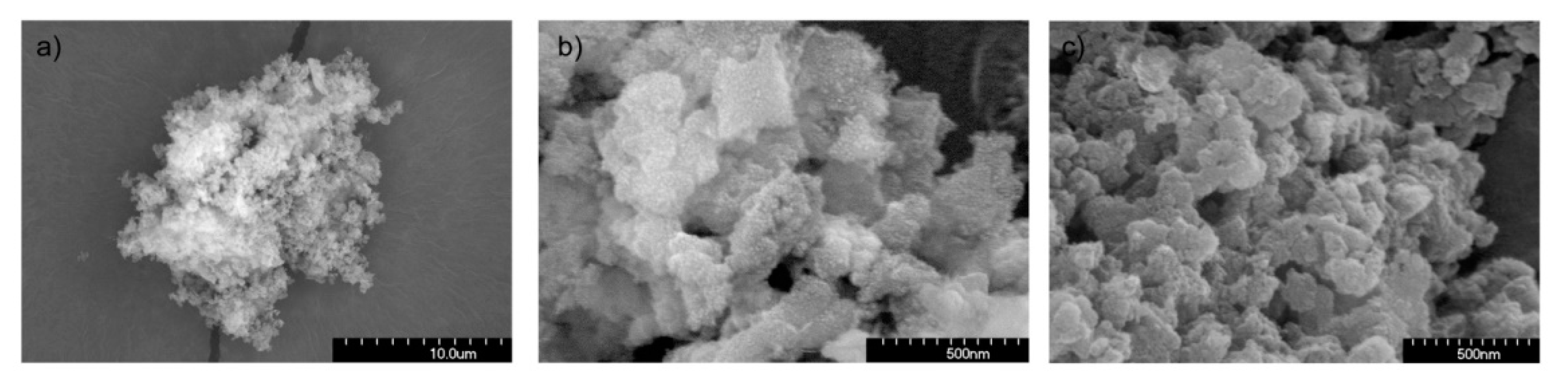 Pharmaceutics 13 01416 g002