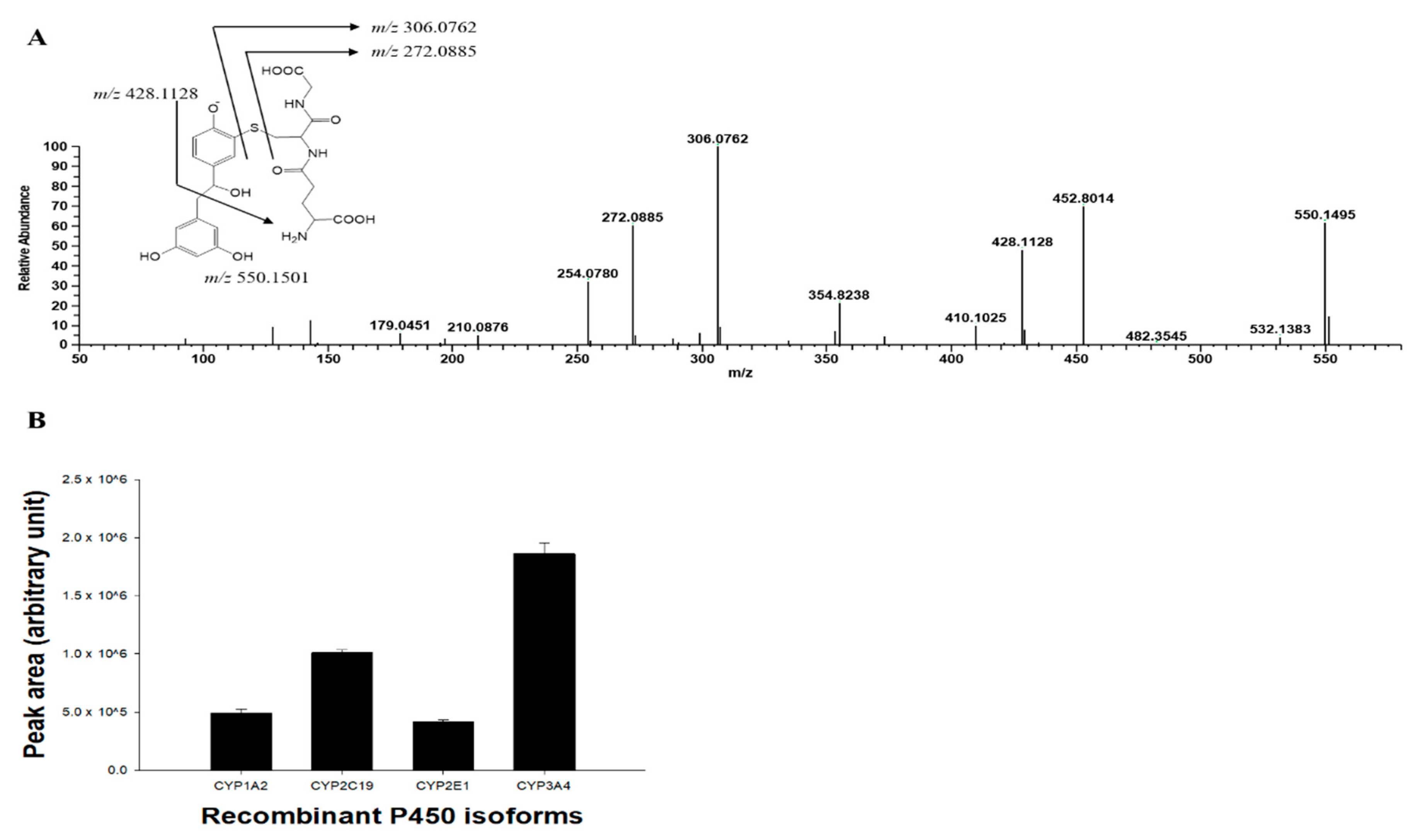Pharmaceutics 13 01419 g005