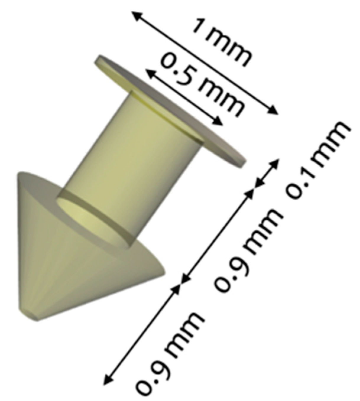 Pharmaceutics 13 01421 g001