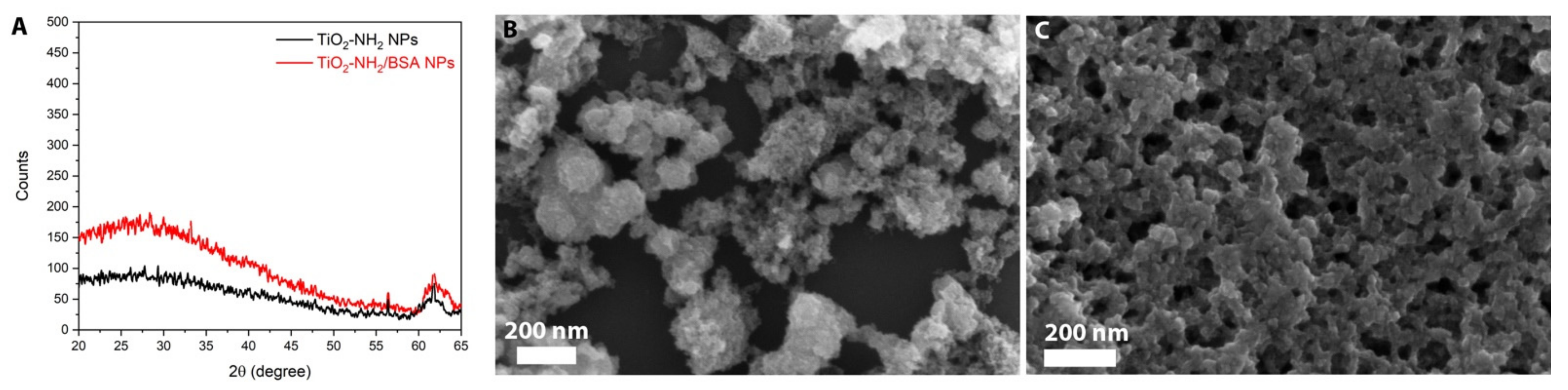 Pharmaceutics 13 01423 g001 550