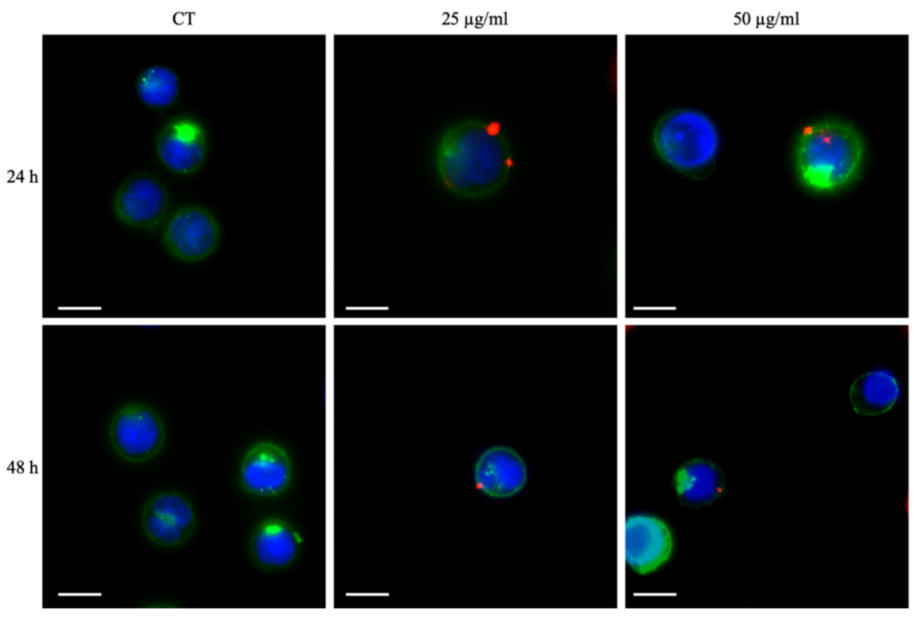 Pharmaceutics 13 01423 g005 550