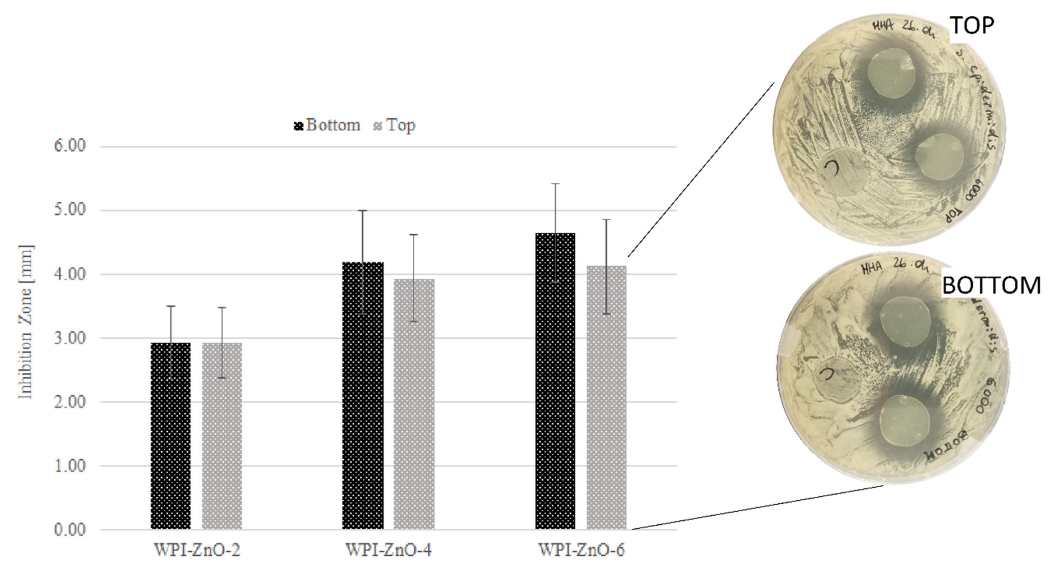 Pharmaceutics 13 01426 g012